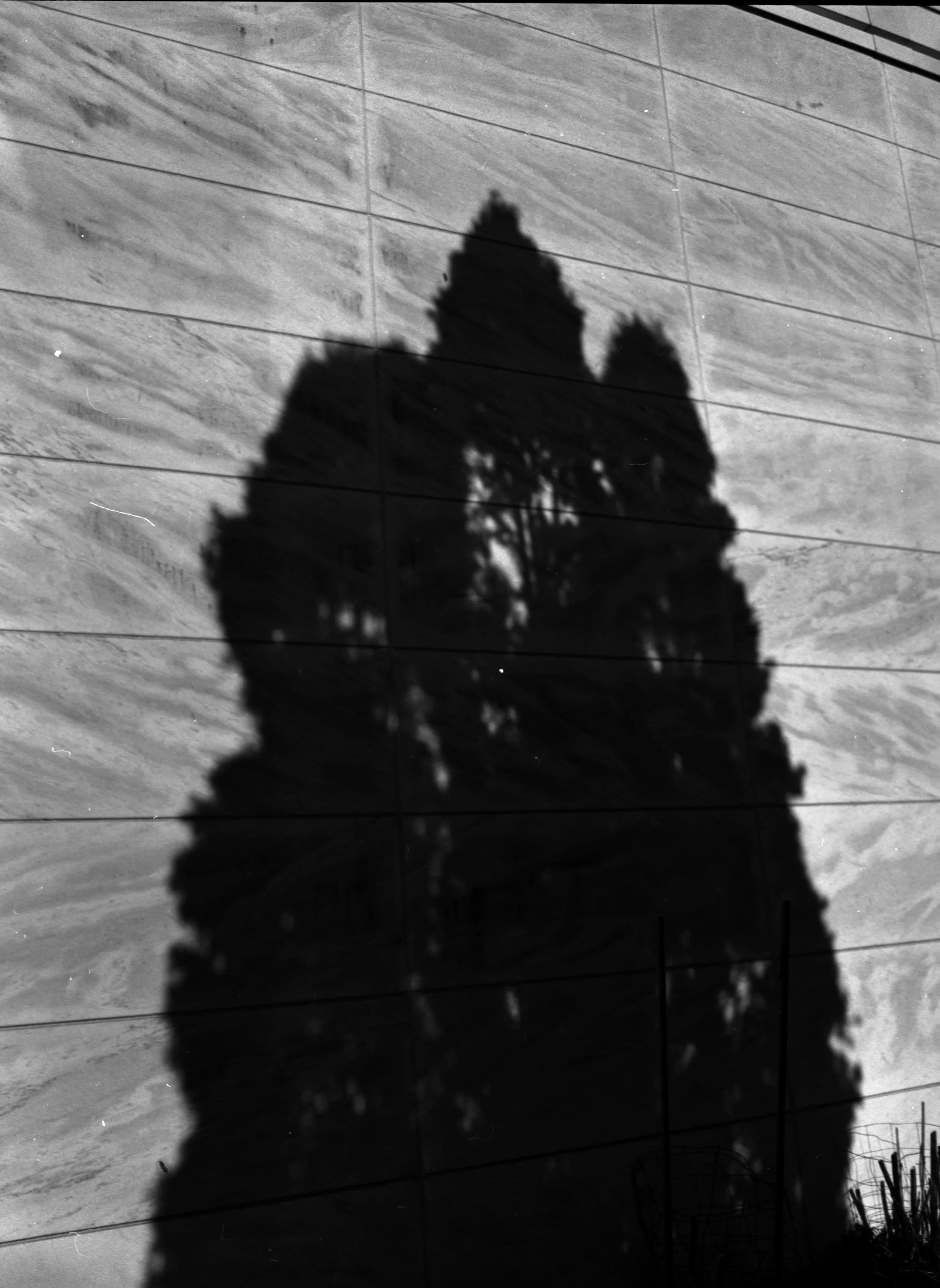 mediumformat 8.jpg