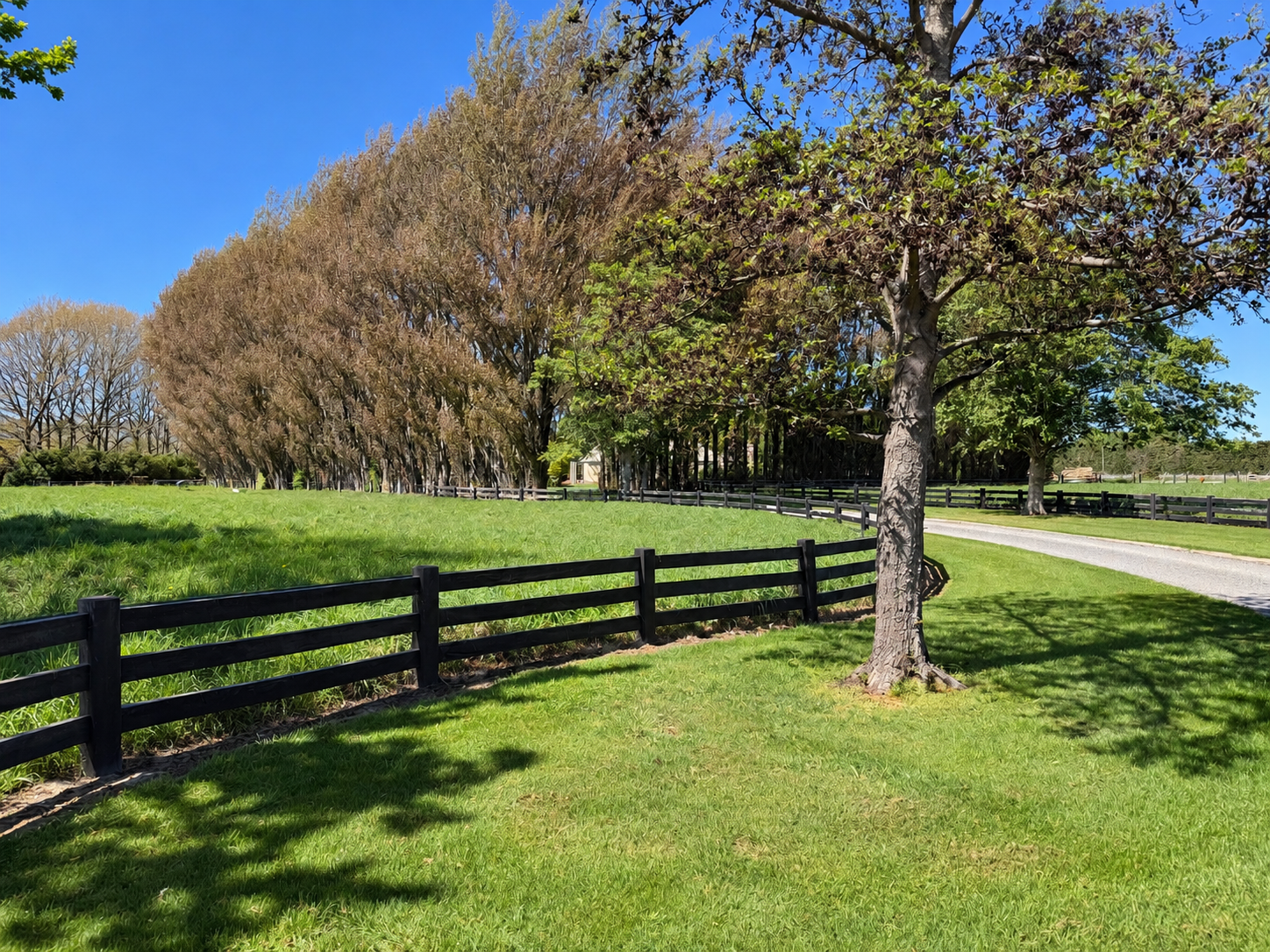 Black Fence Across a Sunlit Pasture.png