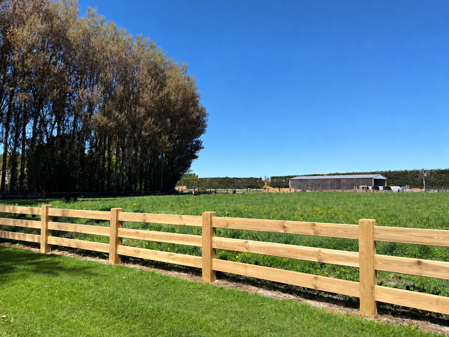 Sunny Pasture with Timber Fence.png