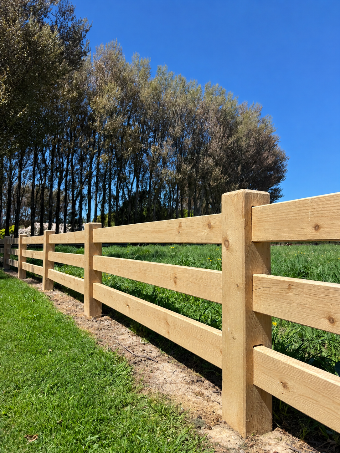 Pine Fence Beneath a Clear Blue Sky.png