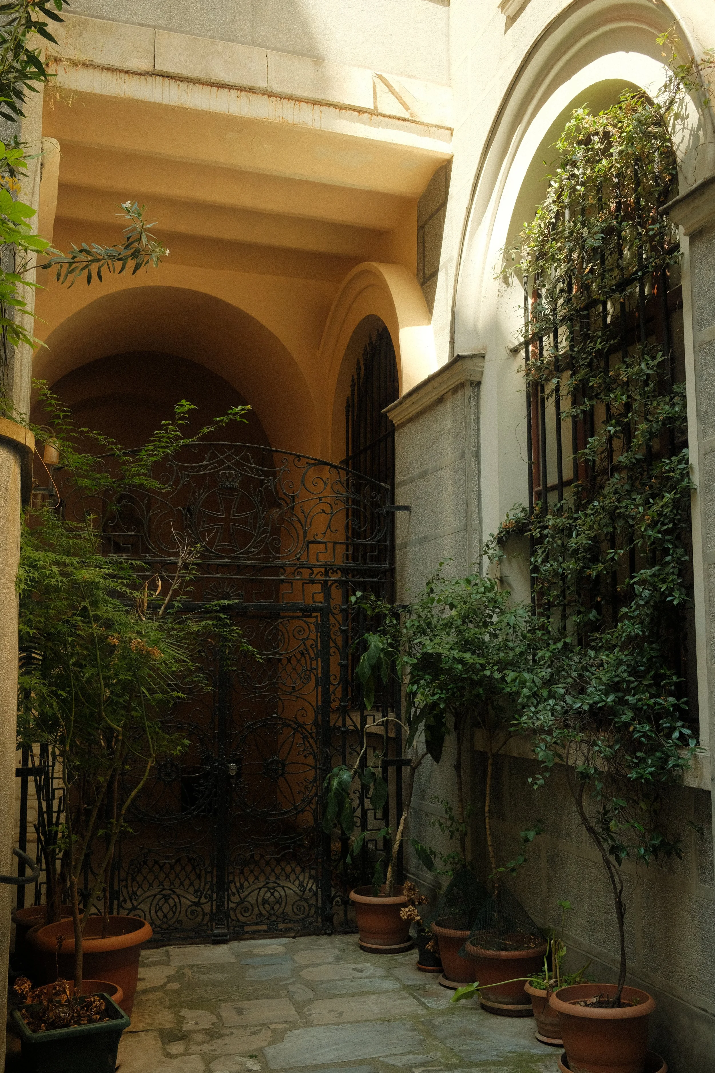 DSCF1443.JPG