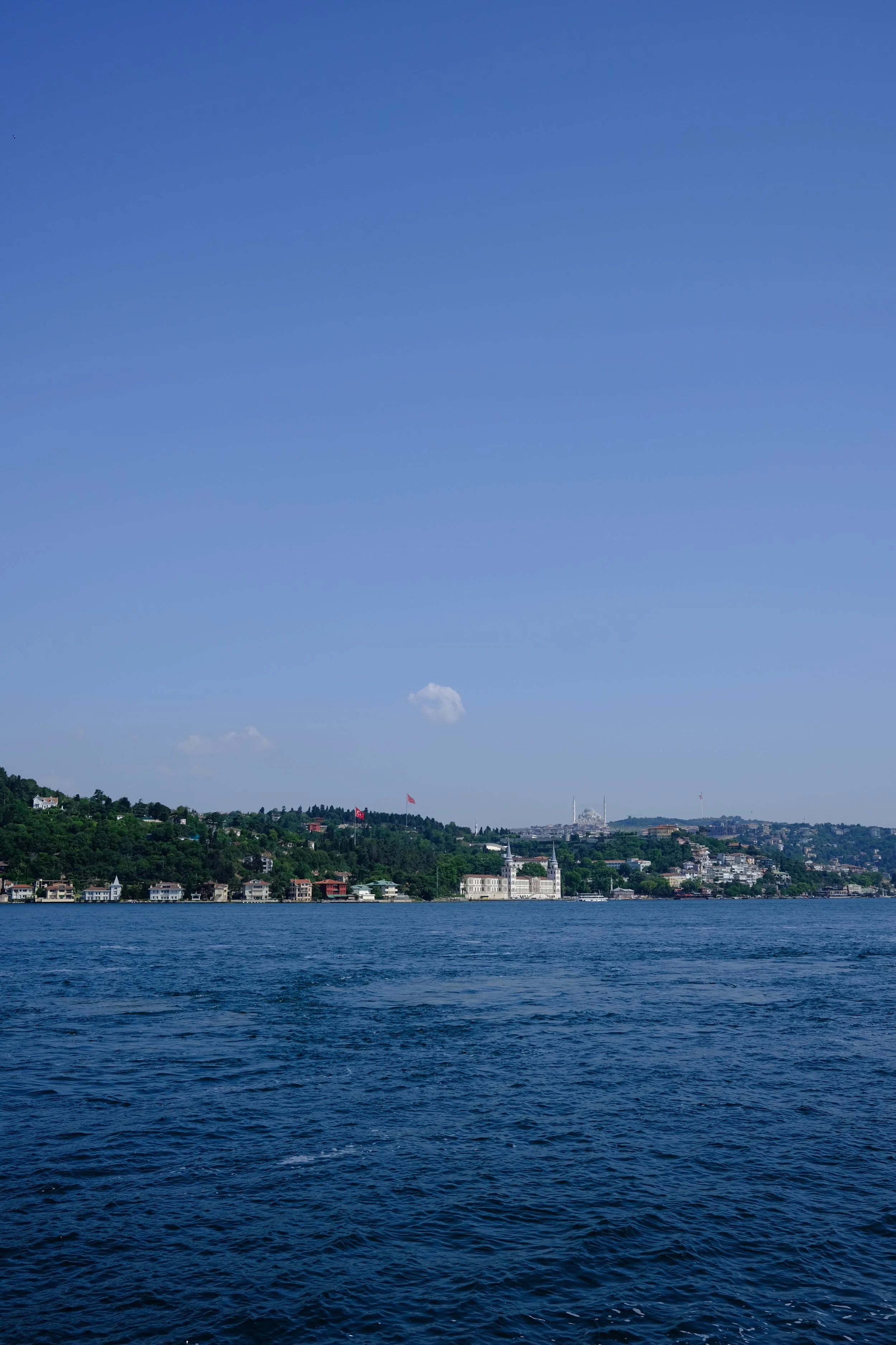 DSCF1162.JPG