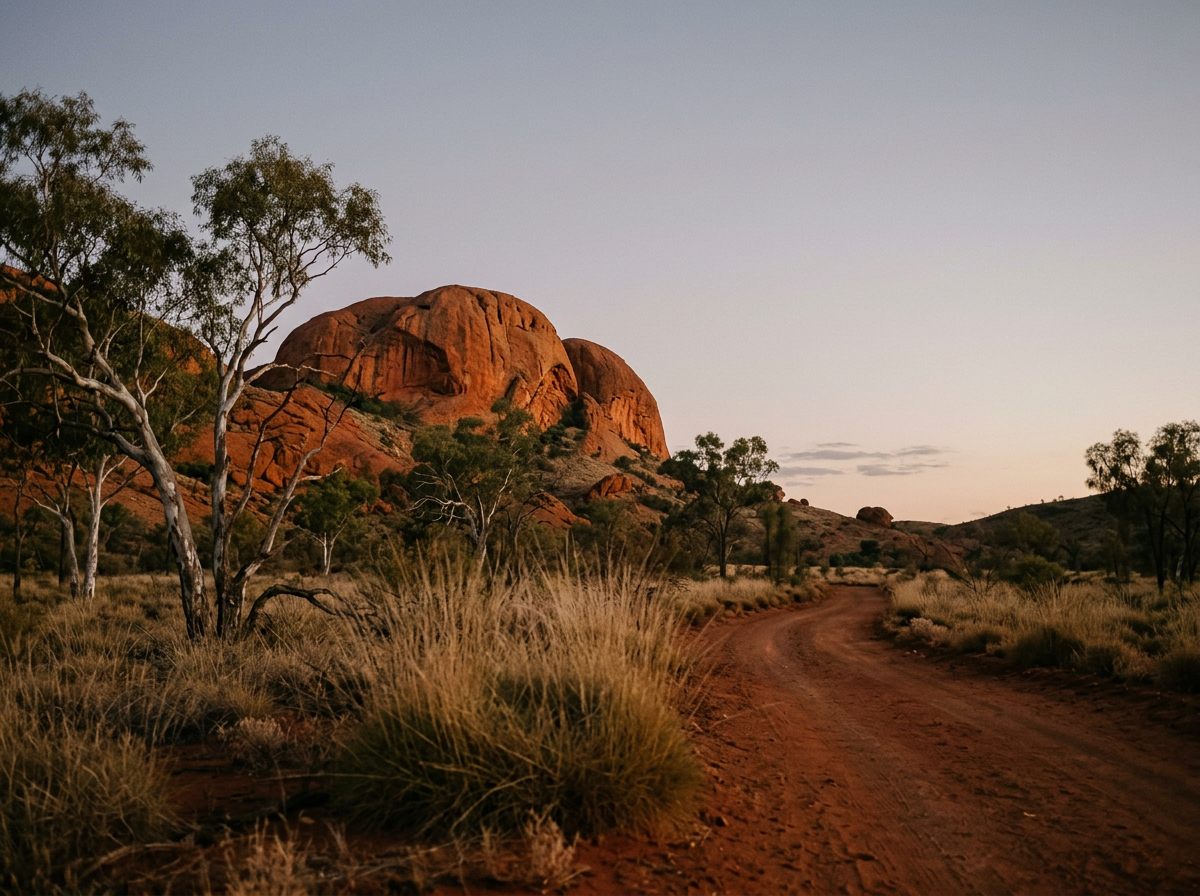 A dirt road winding through an arid landscape with red rocks and sparse trees at sunset.
