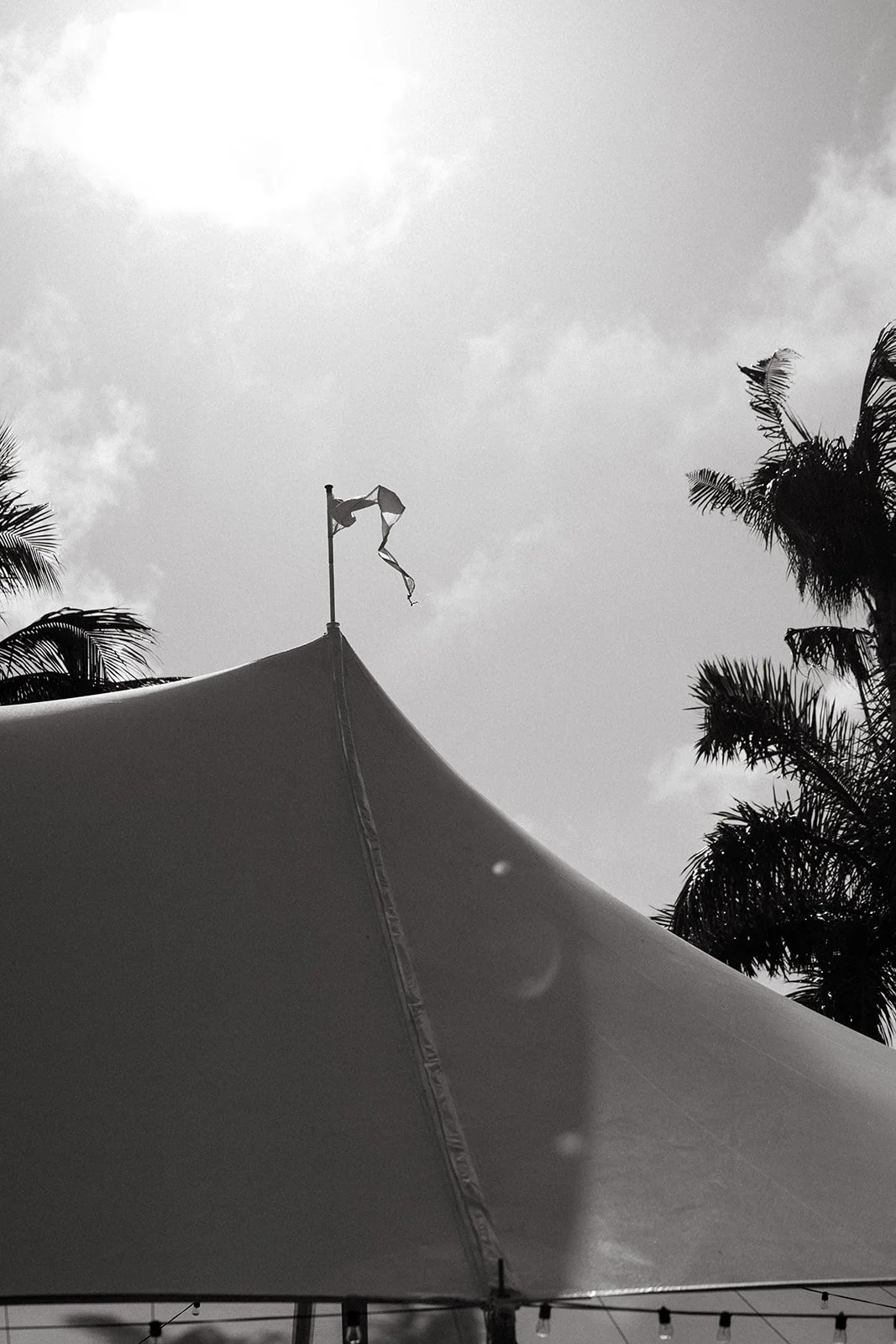 Black and white photo of a tent with a torn flag on top, surrounded by palm trees and cloudy sky.