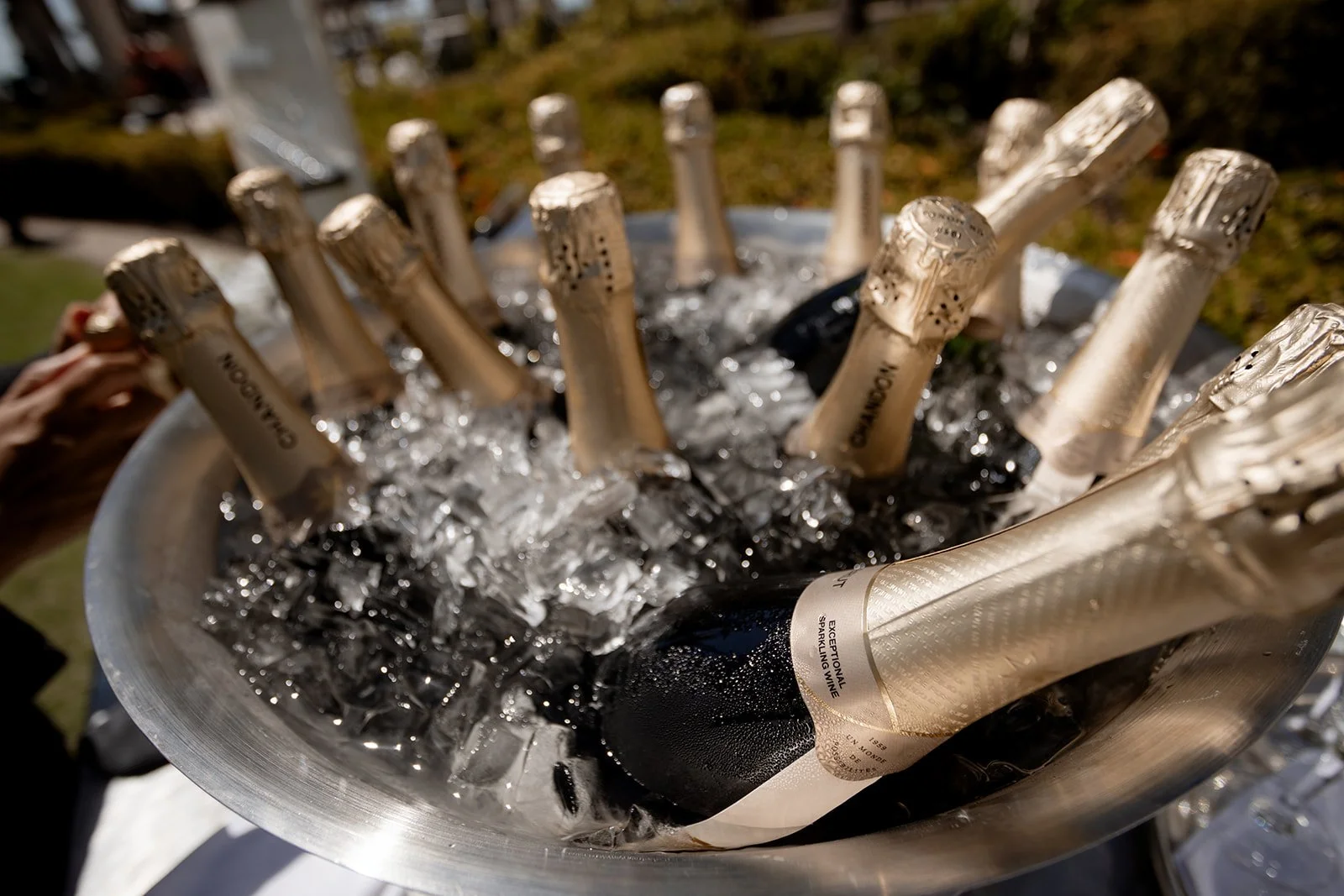 A metal ice bucket filled with ice cubes and numerous bottles of champagne, with some bottles partially submerged in ice and condensation on the bottles.