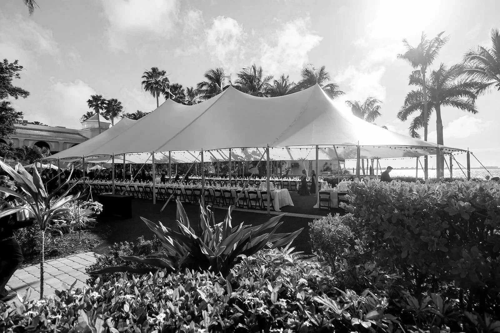 A large outdoor event tent set up on a lawn with a long dining table, chairs, and people inside. Tropical palm trees and a building are visible in the background. The photo is in black and white.