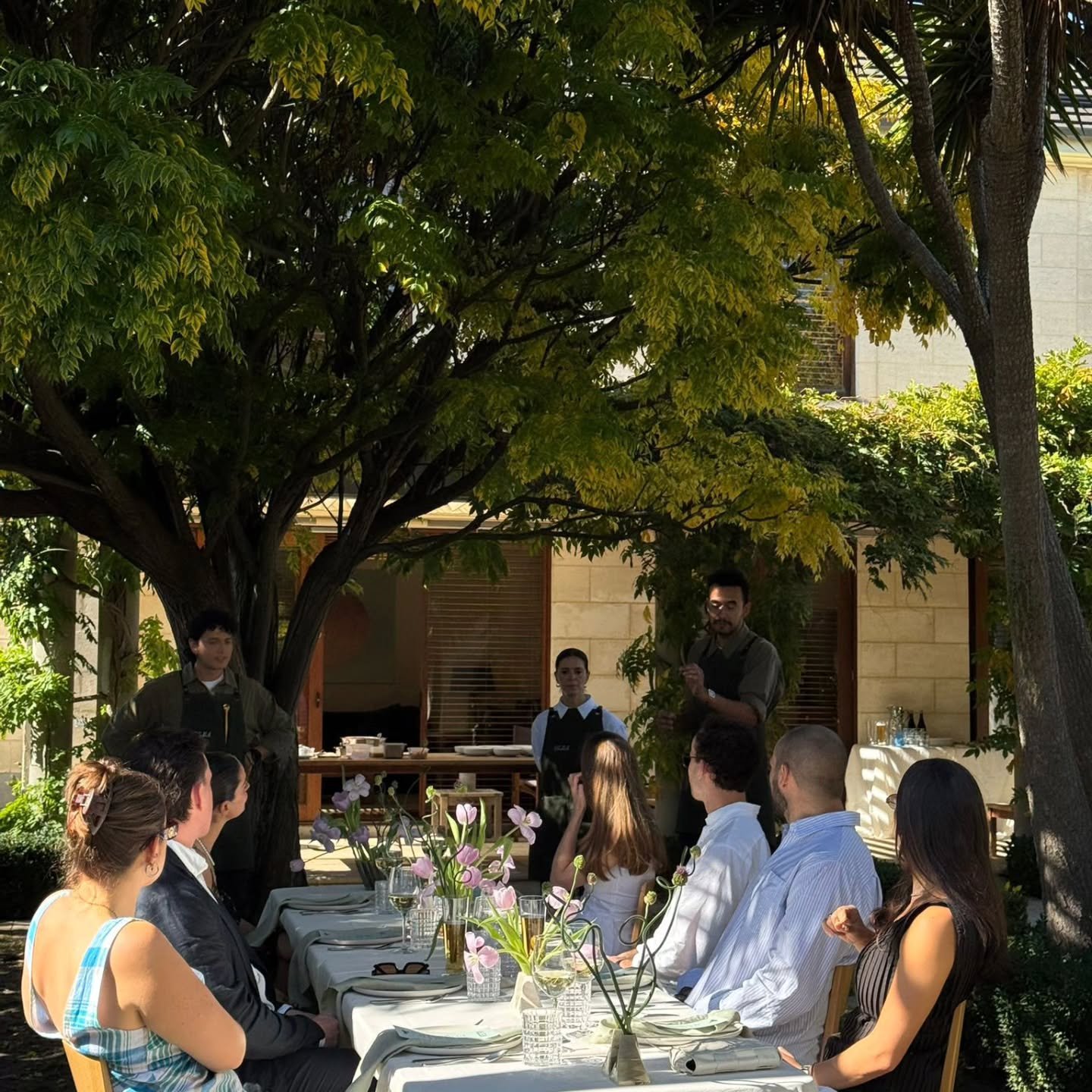 One week of Olea.
A week of ideas becoming reality, beautiful tables, shared meals, and the beginning of something we truly believe in. Thank you for being part of our first steps.