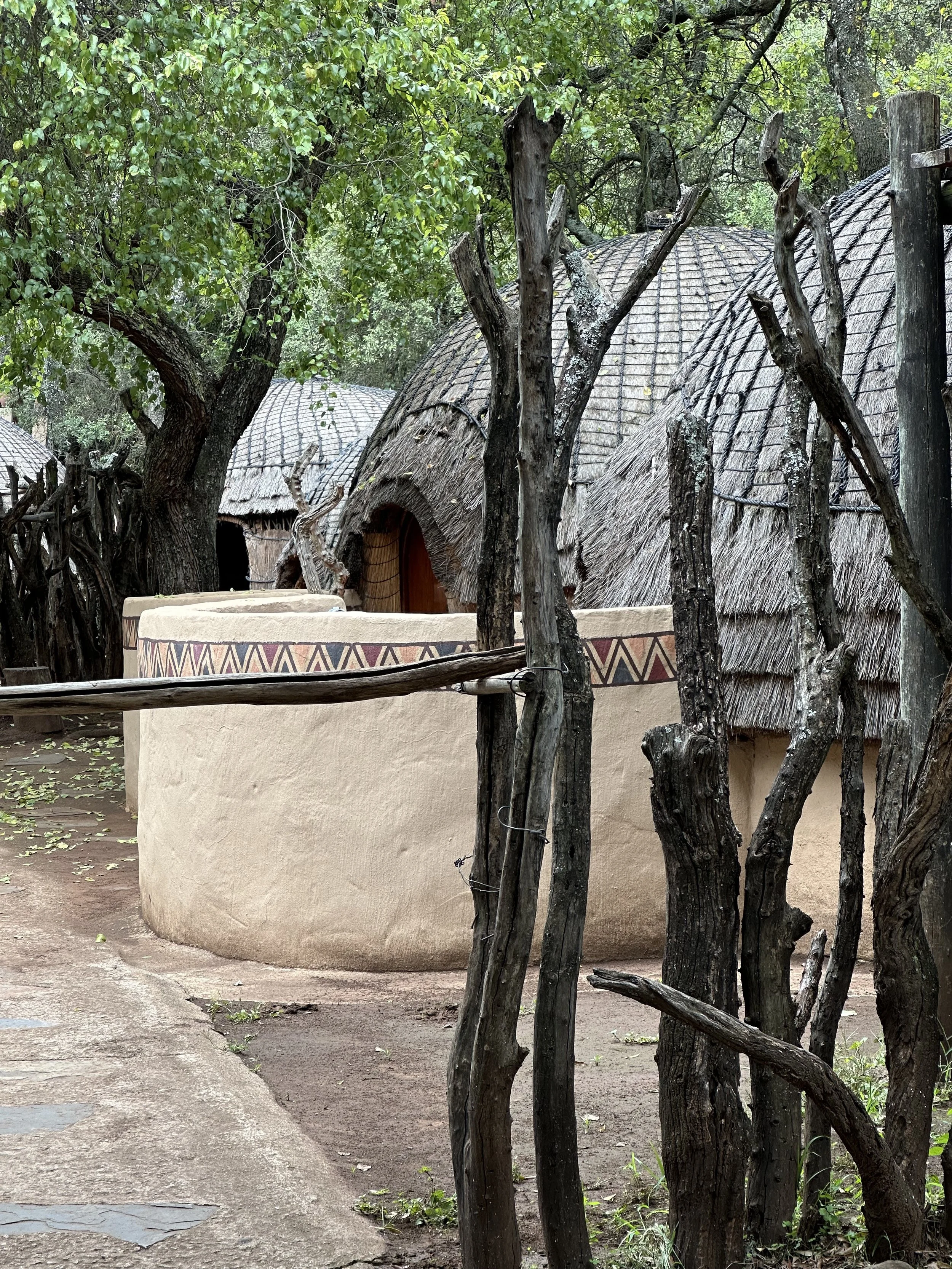View of a thatched round hut with a curved wooden door, surrounded by twisted dark tree trunks and green leafy trees.