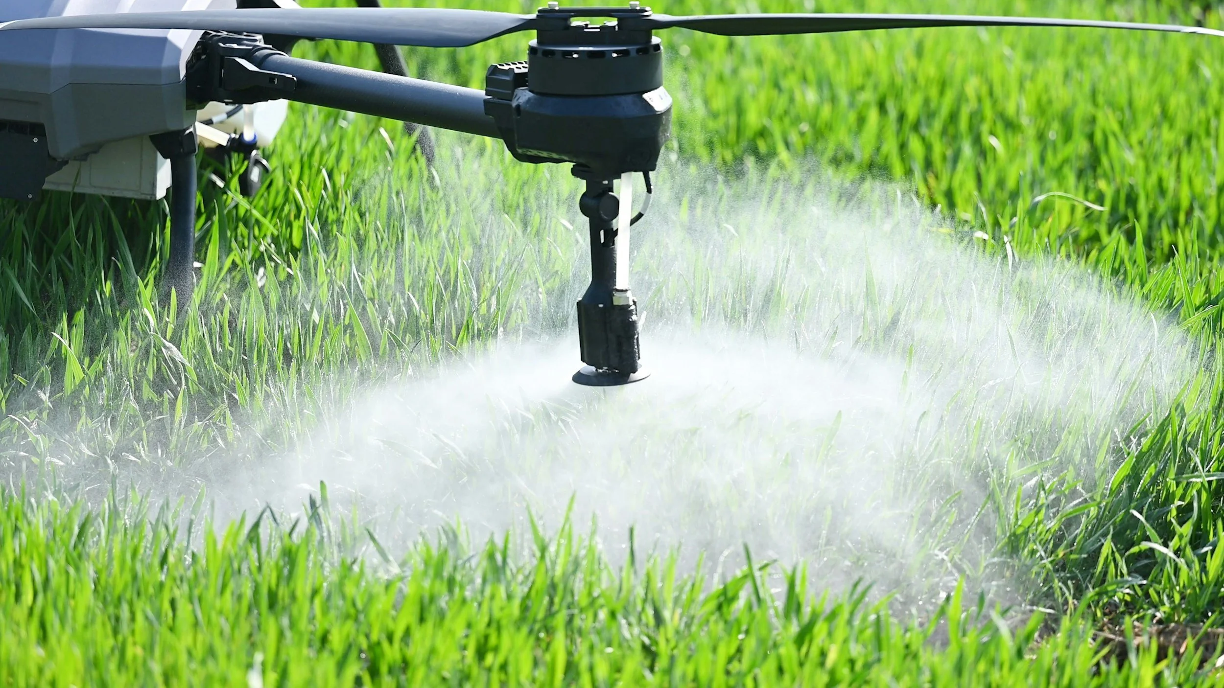A drone spraying liquid on a green field of crops.