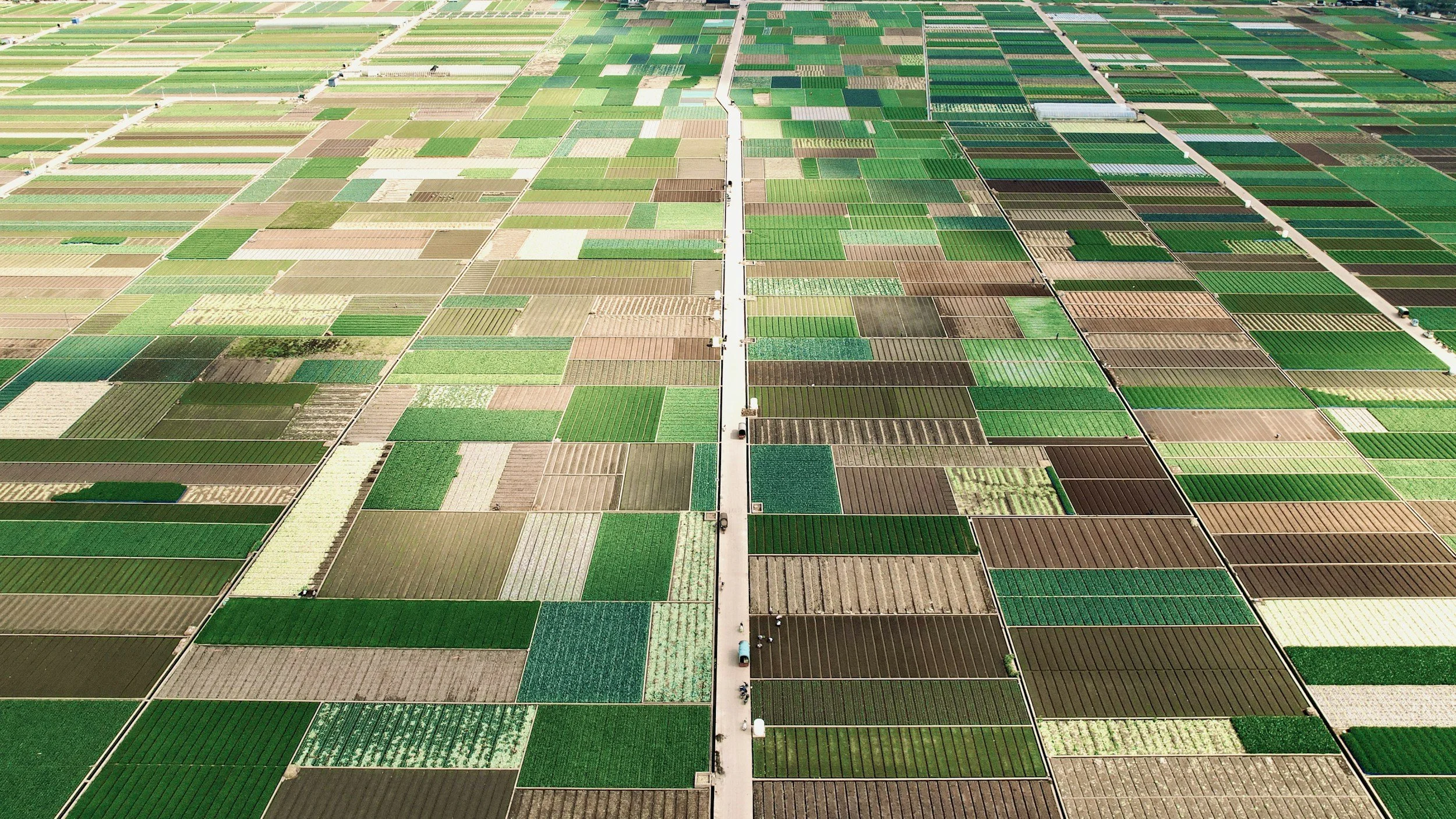 Aerial view of large agricultural farmland divided into numerous rectangular and square plots with different shades of green and brown, connected by a network of roads.