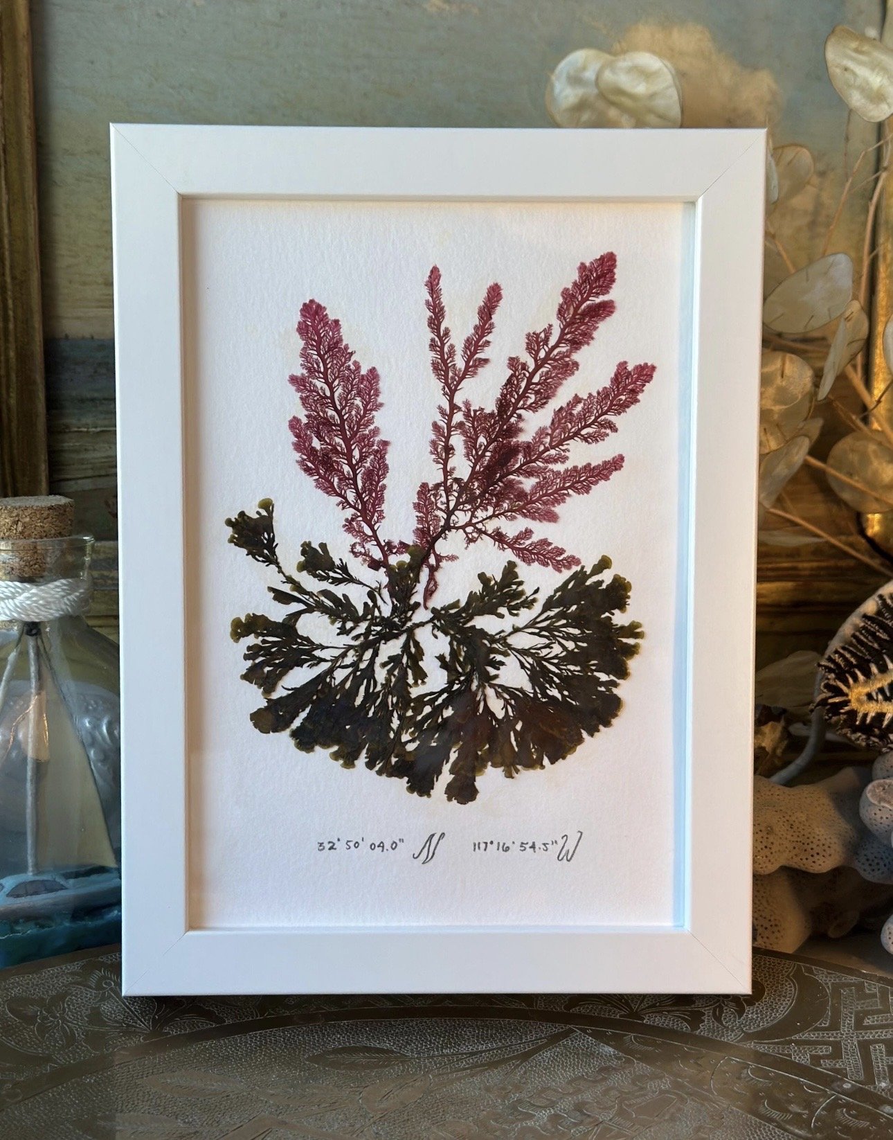 #49  ( 5" x 7" )