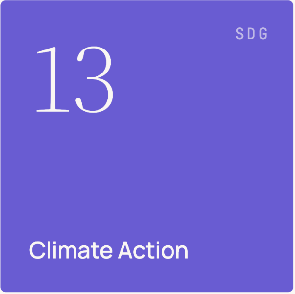 A purple background with large white number 13 and smaller text "SDG" in the top right corner. The main text reads "Climate Action."