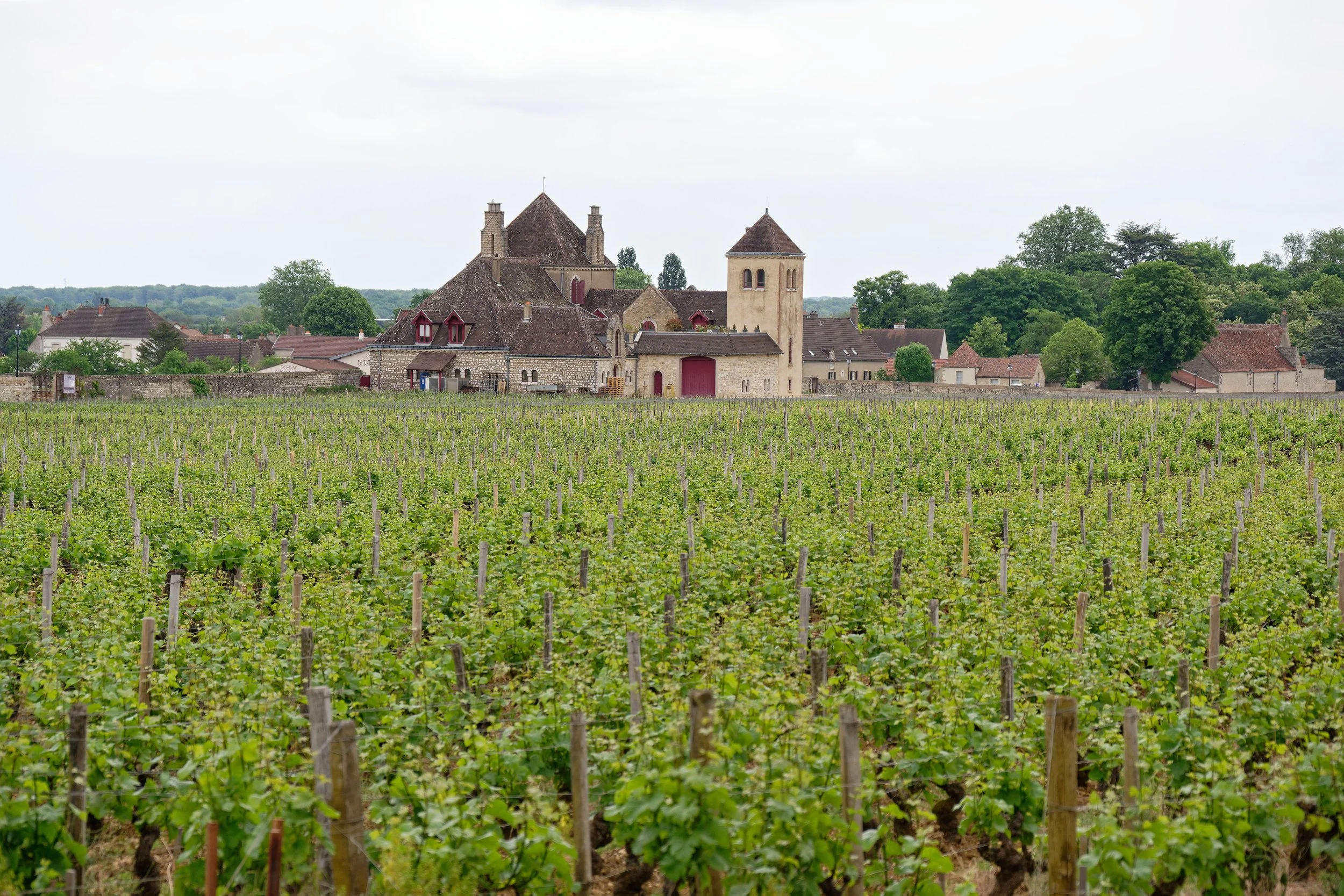 Tour de France : Bordeaux