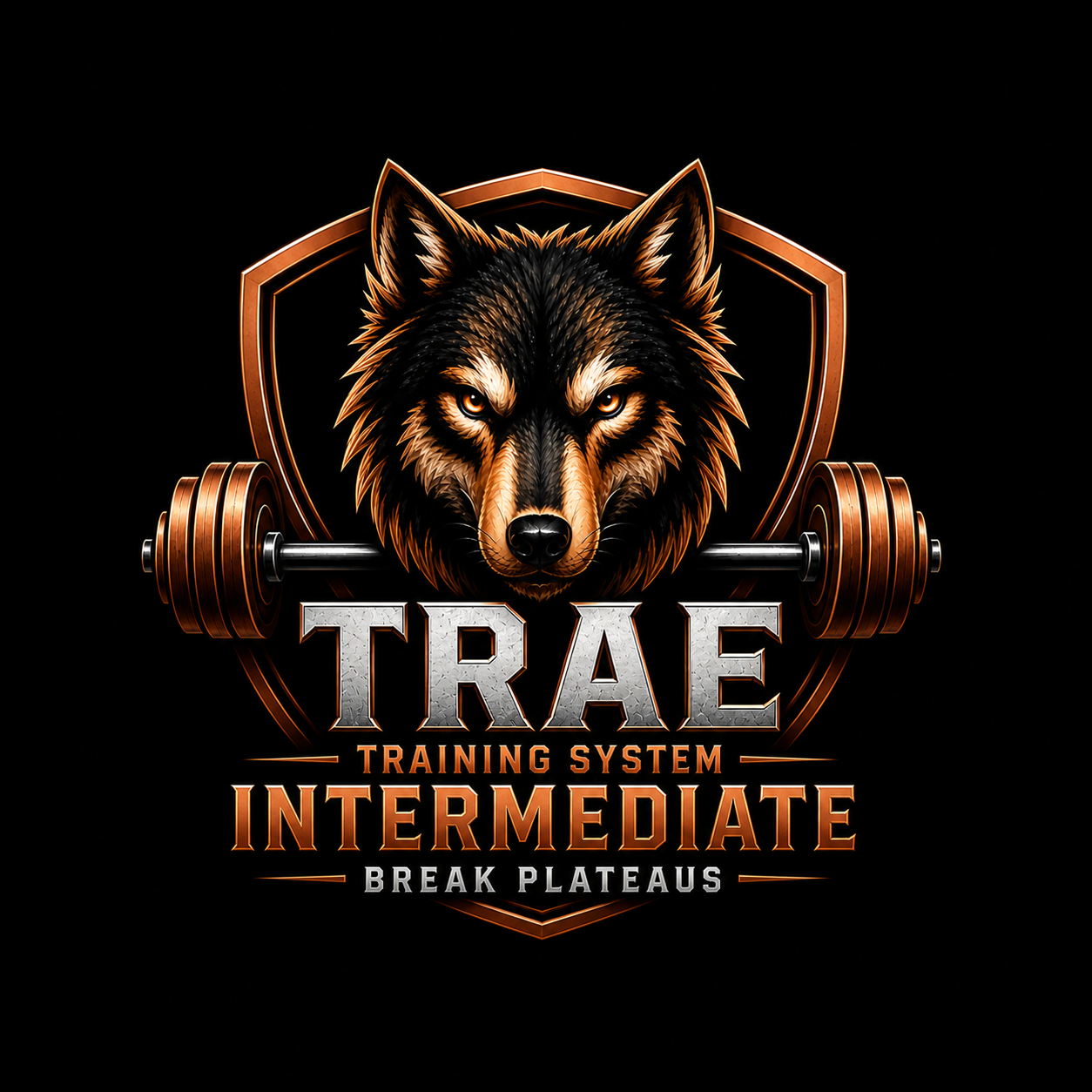Intermediate Powerlifter Program