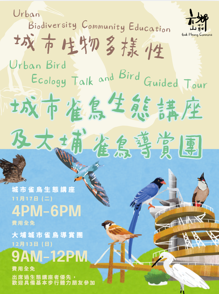 探索大埔城市生物多樣性【城市雀鳥生態講座】及【雀鳥導賞團】🌿🐦