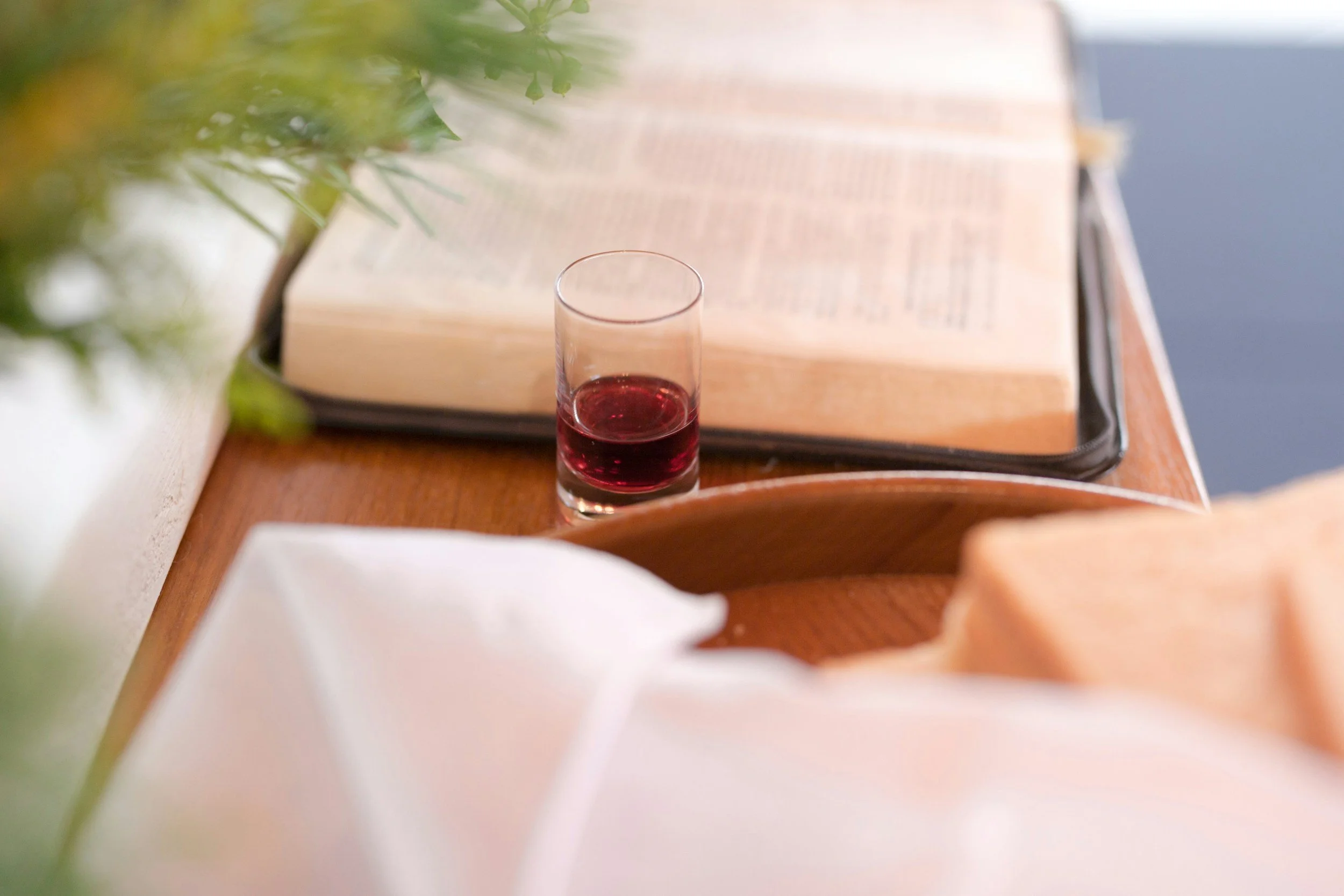 A glass of red wine placed on a wooden table with an open book in the background and a green plant in the foreground.