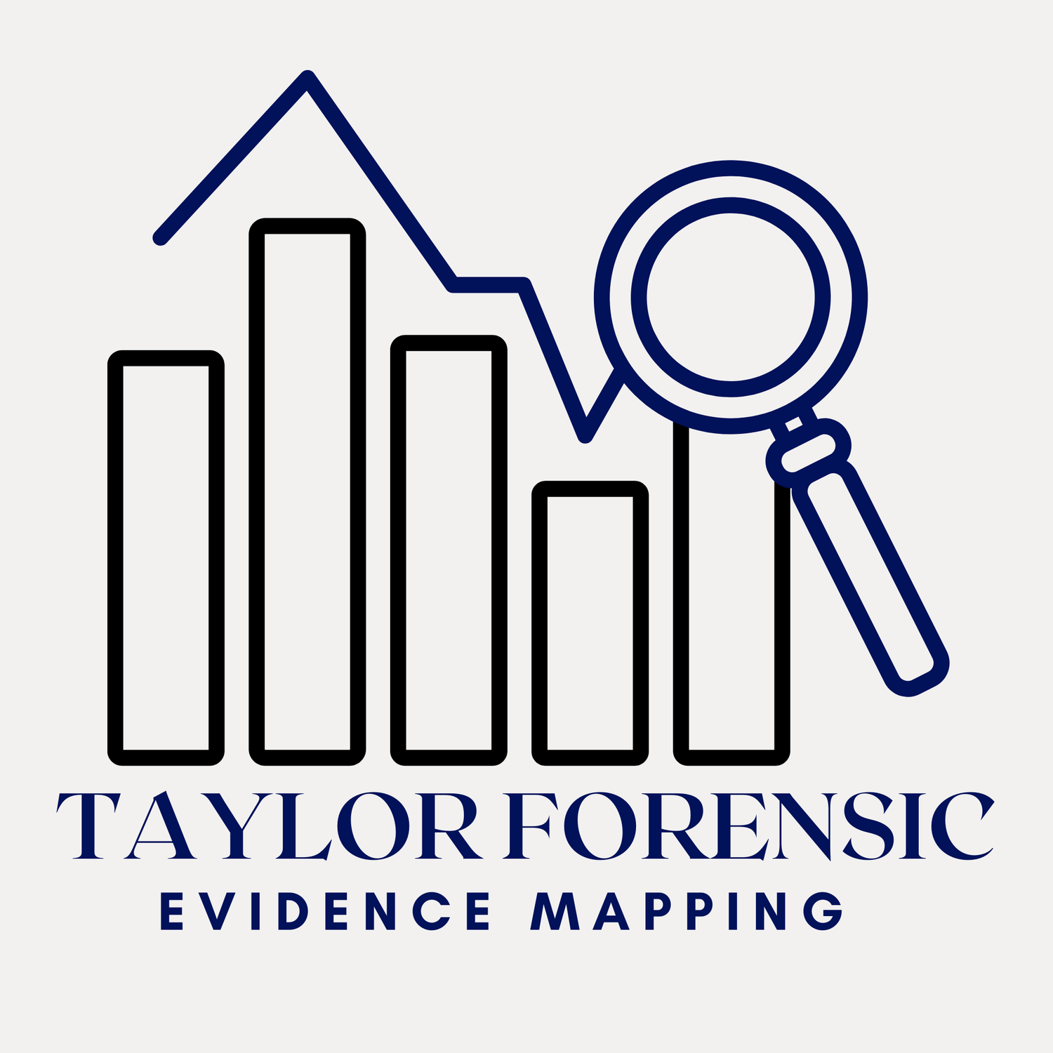 Taylor Forensic Evidence Mapping