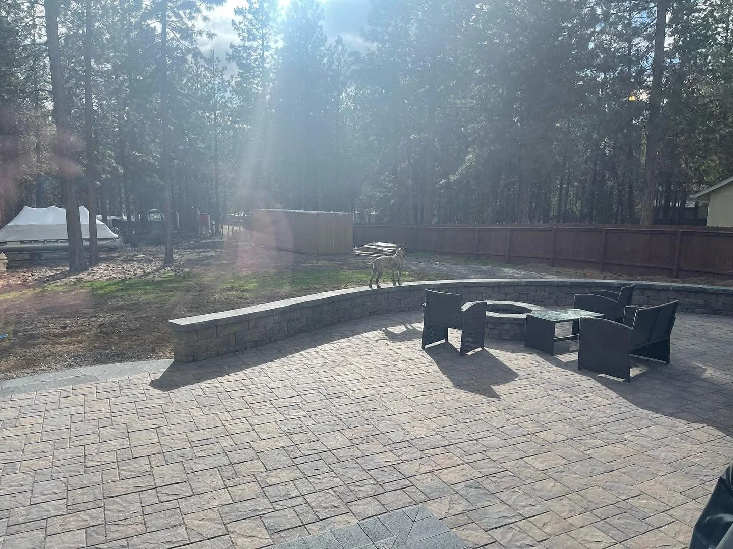 Backyard patio with outdoor furniture, a fire pit, and a stone wall. A dog statue or sculpture stands on the stone edge, with trees and a fence in the background. The sunlight creates lens flare.