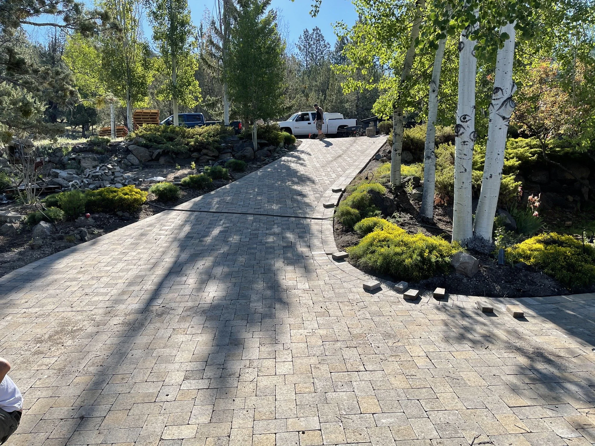A paved pathway lined with yellow and green bushes on the right and trees on the left. In the background, there are parked vehicles, and a person is walking along the path. The sky is clear and blue.