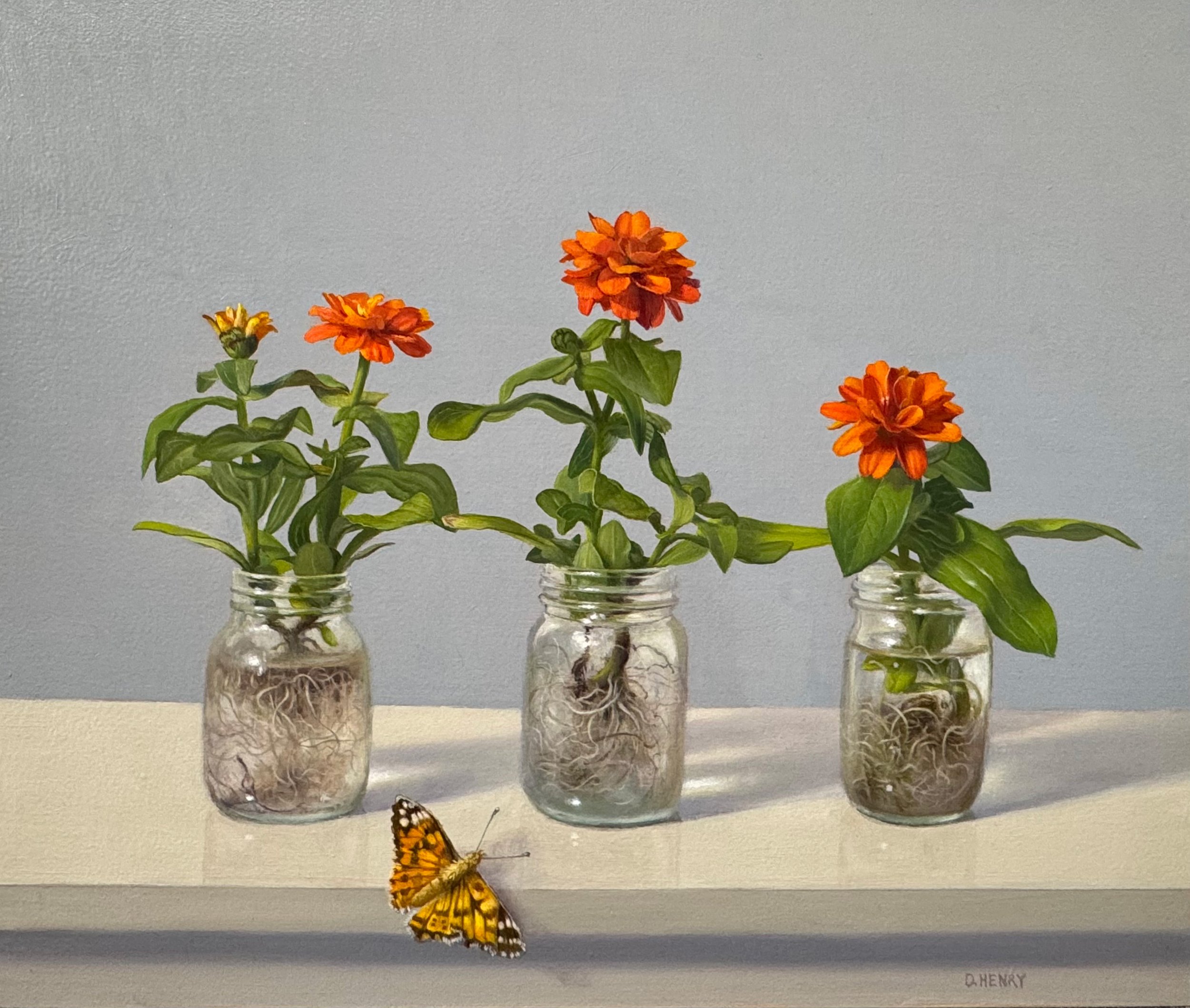 Three Zinnias and a Butterfly