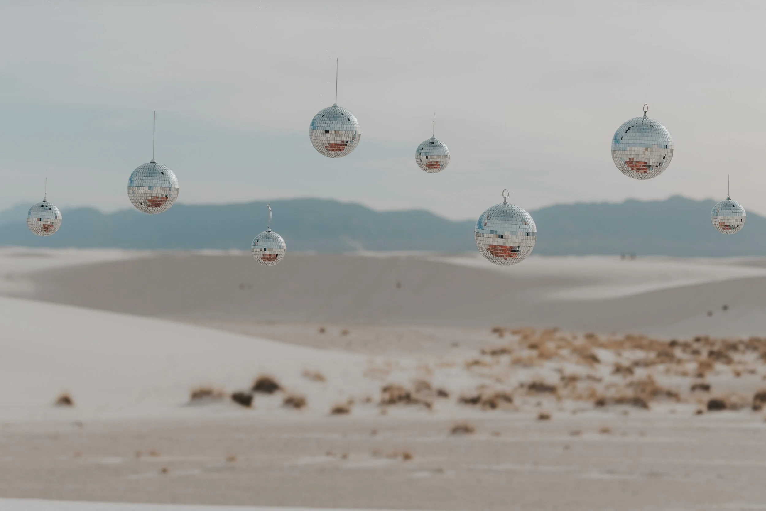 Disco-5624.jpg
