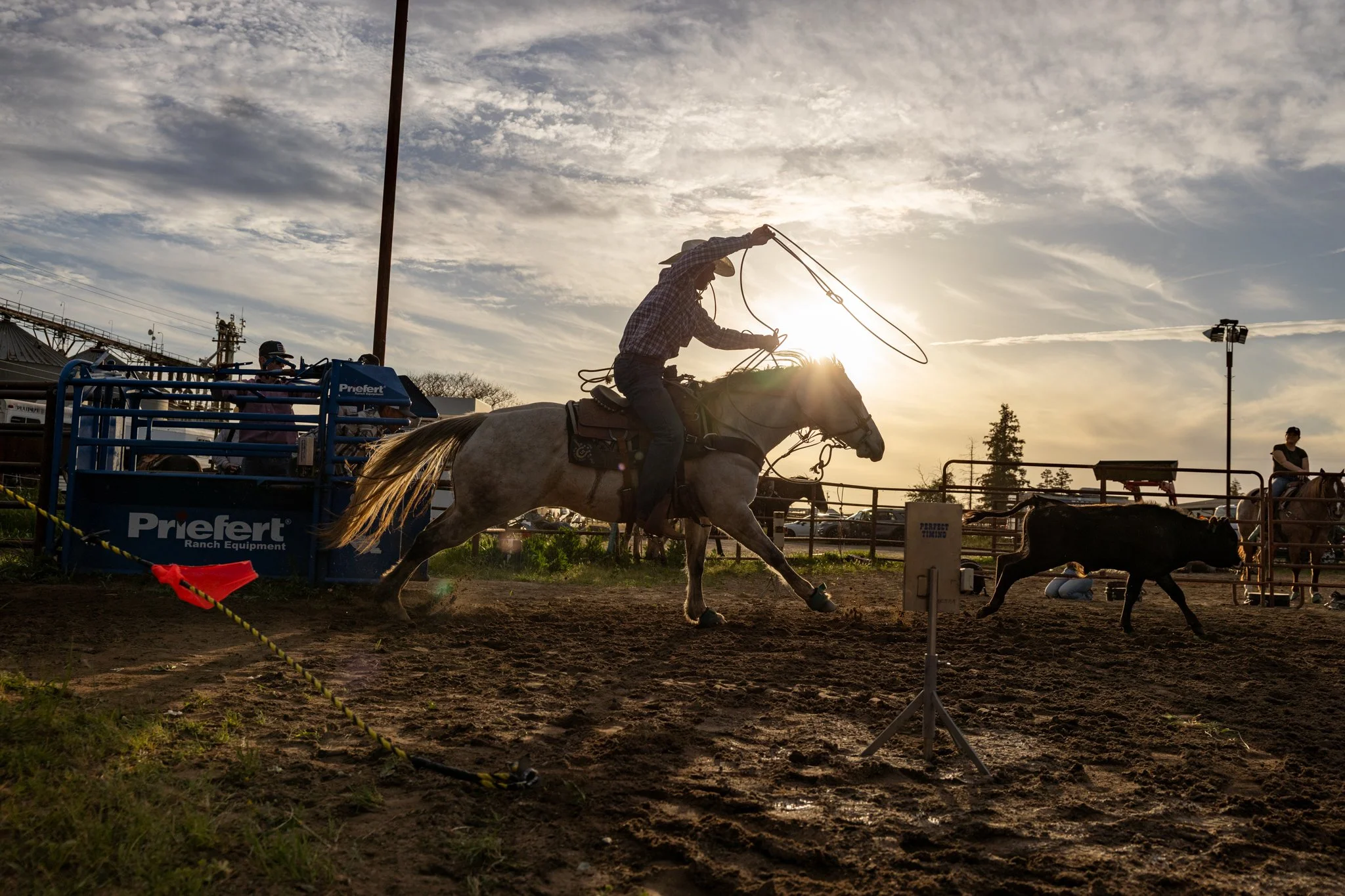 20250411EscalonRodeo-12.jpg