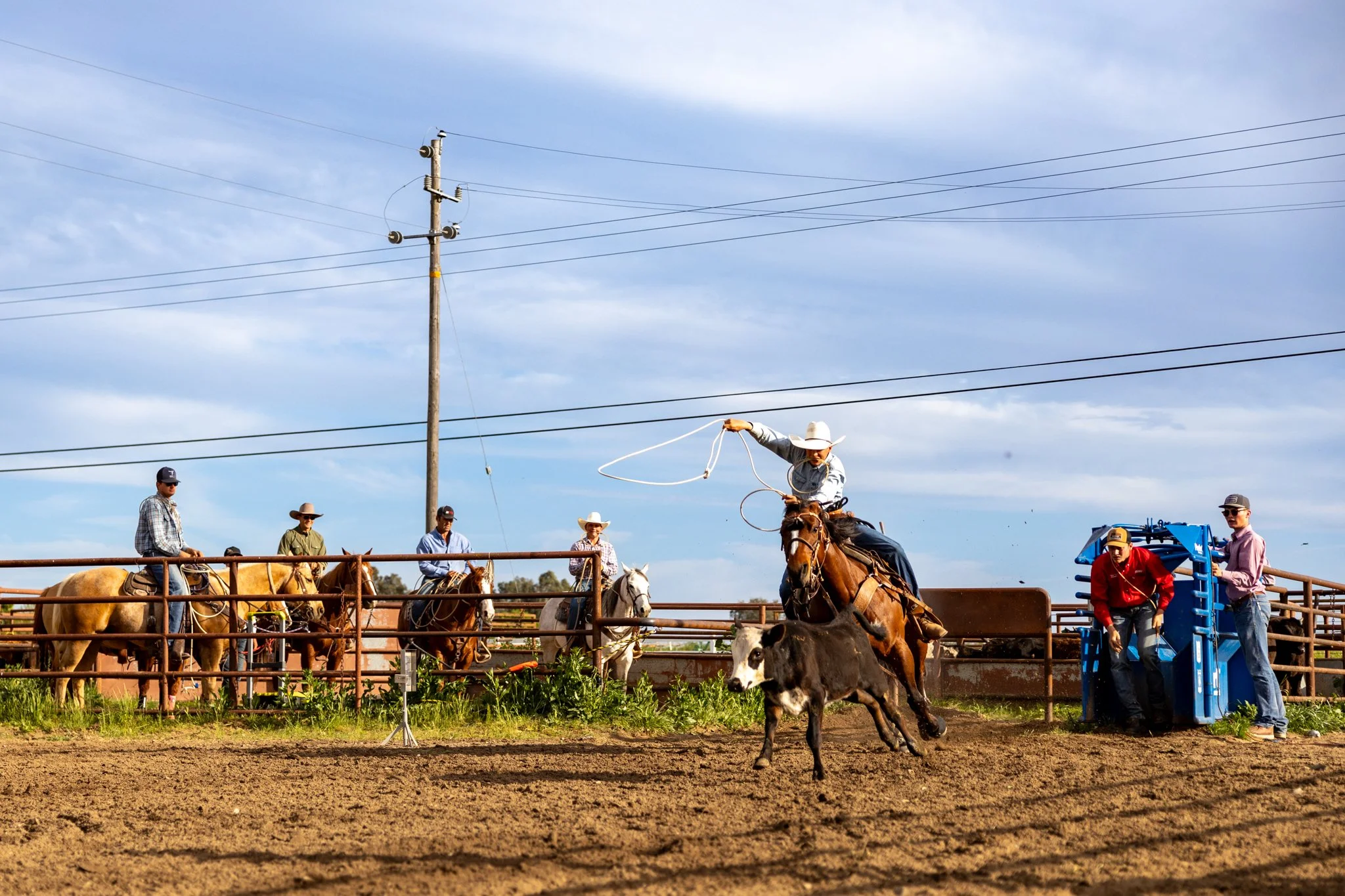 20250411EscalonRodeo-2.jpg