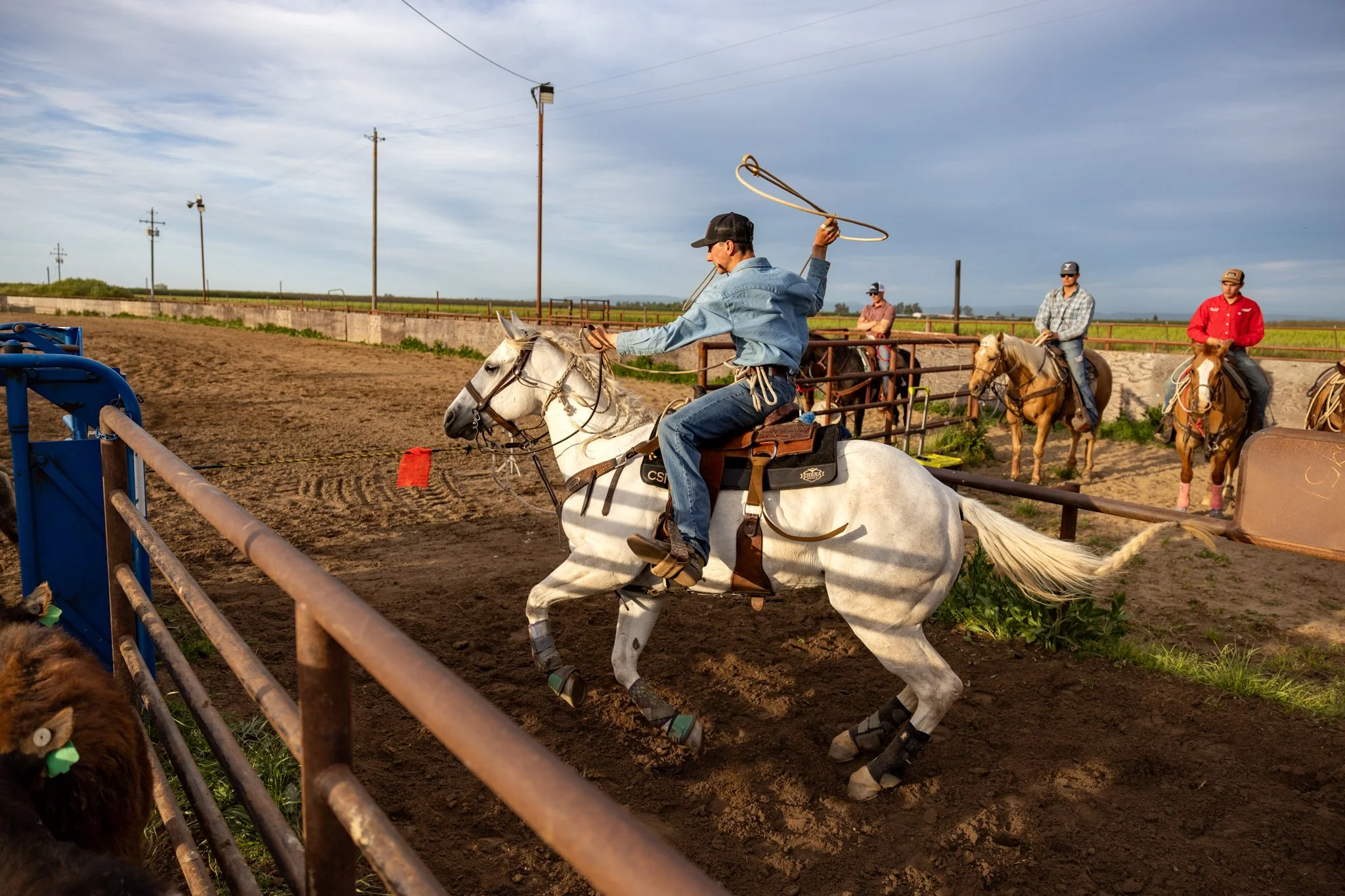 20250411EscalonRodeo-11.jpg
