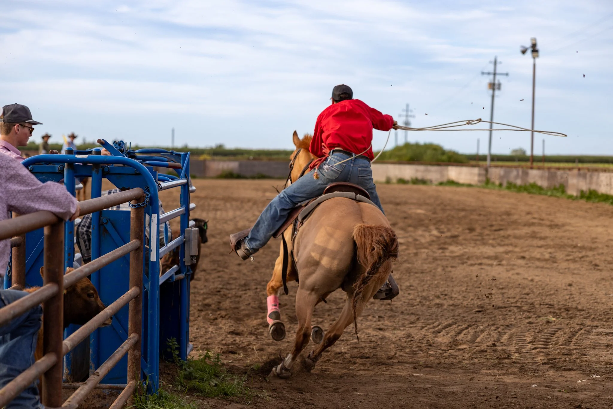 20250411EscalonRodeo-8.jpg
