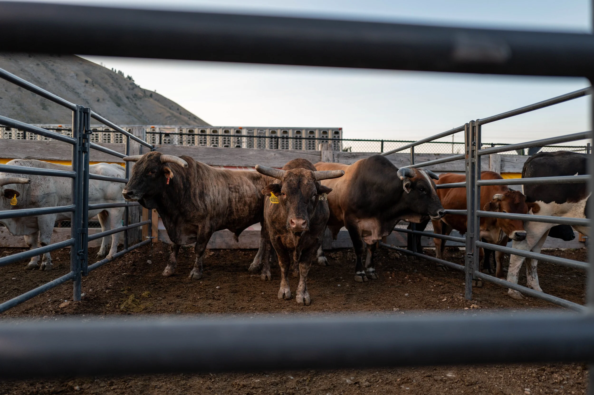 20240907JacksonHoleRodeo-2.jpg