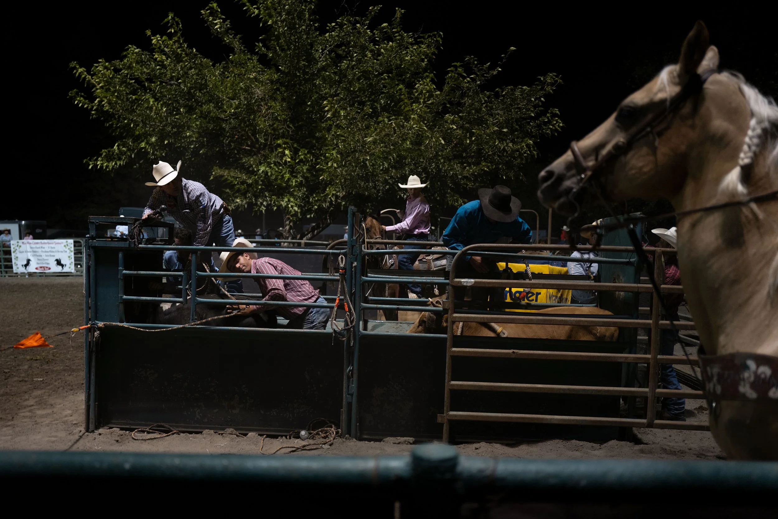 20230805SonomaRodeo-13.jpg
