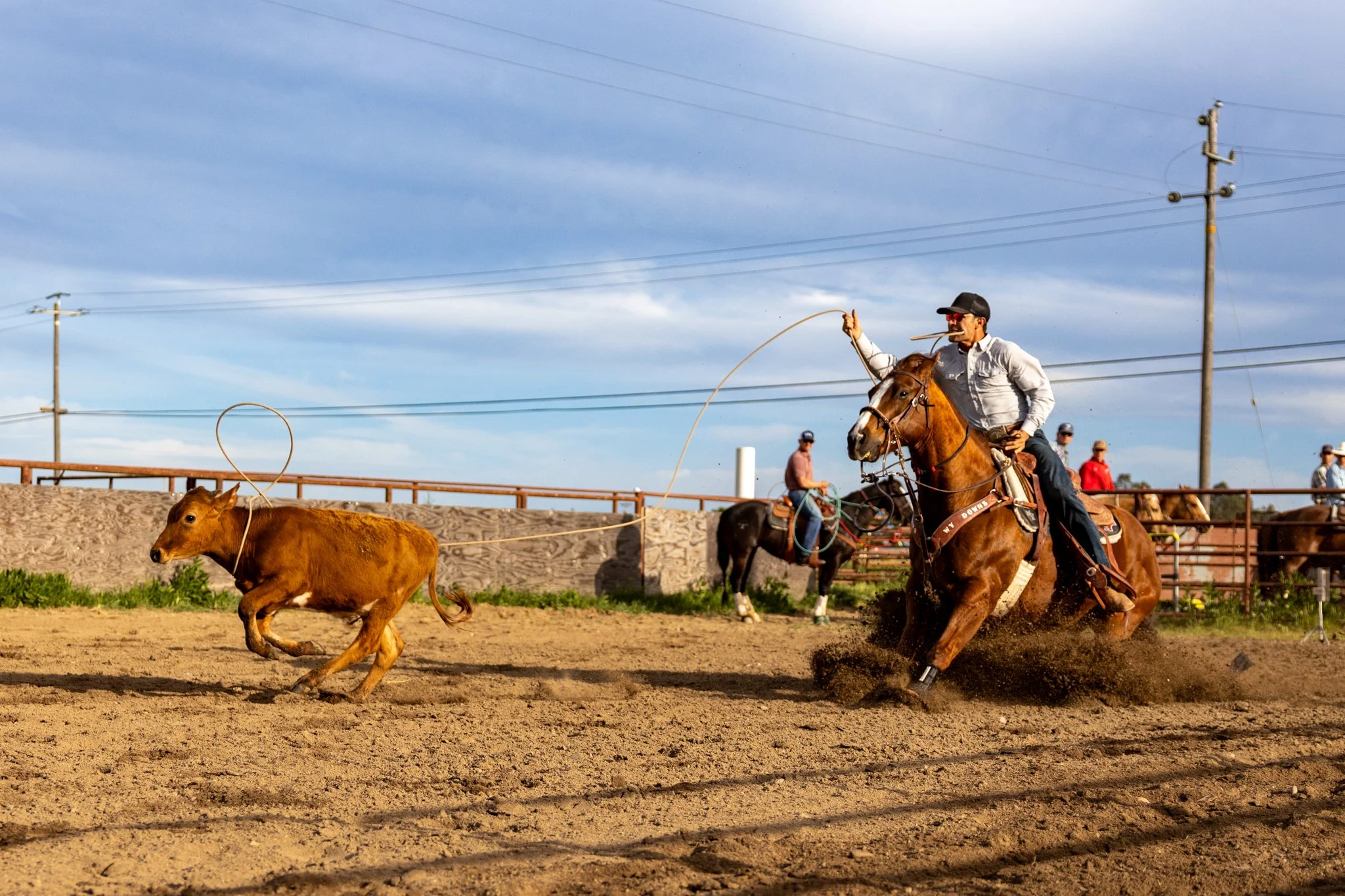 20250411EscalonRodeo-5.jpg