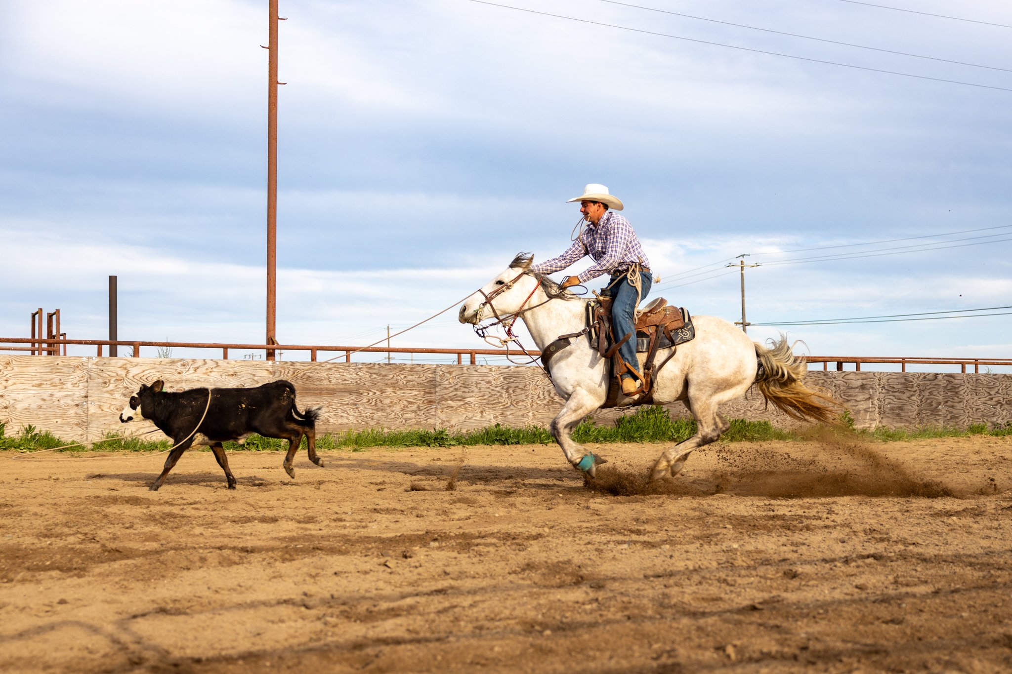 20250411EscalonRodeo-6.jpg