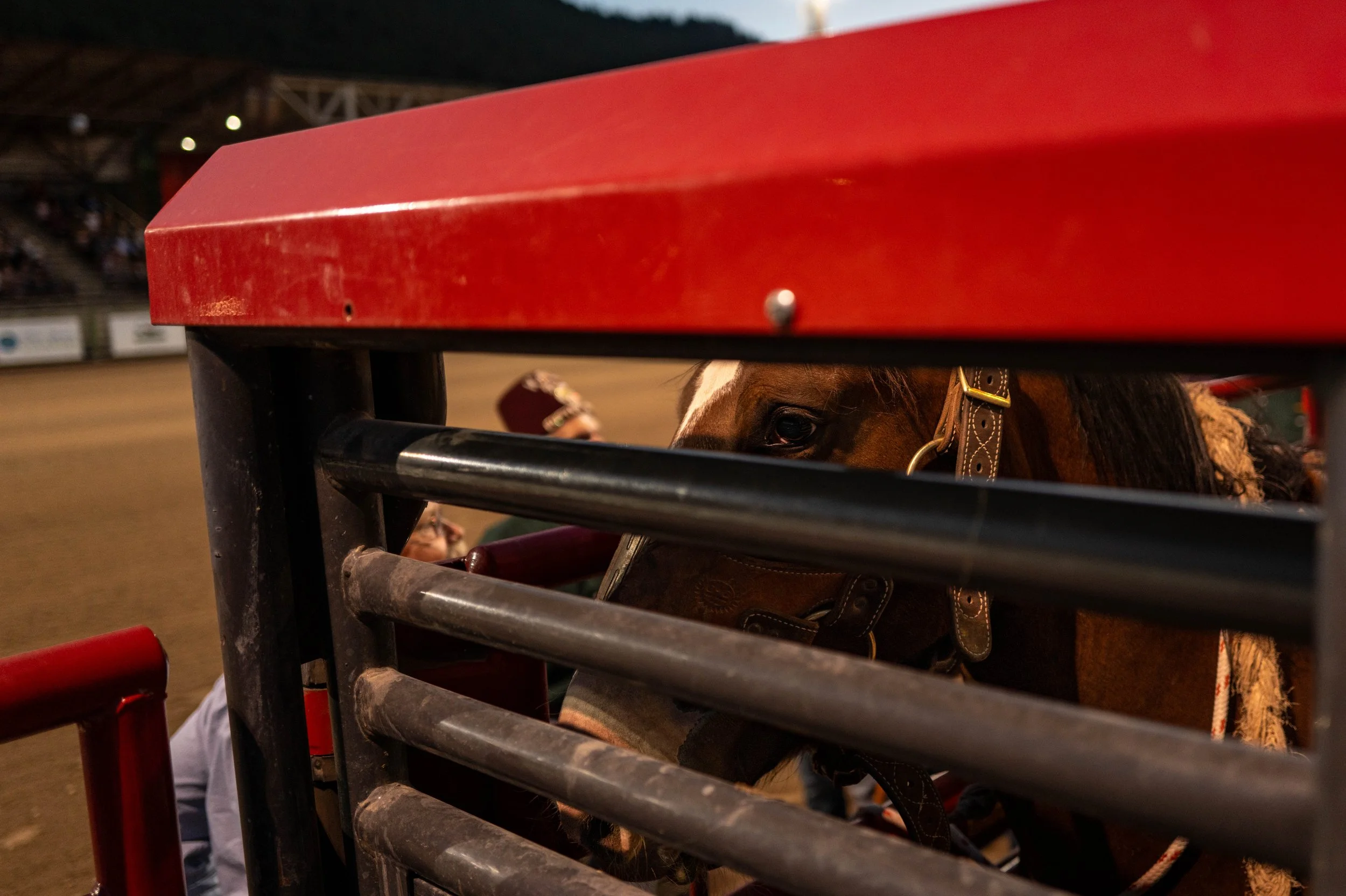 20240907JacksonHoleRodeo-10.jpg