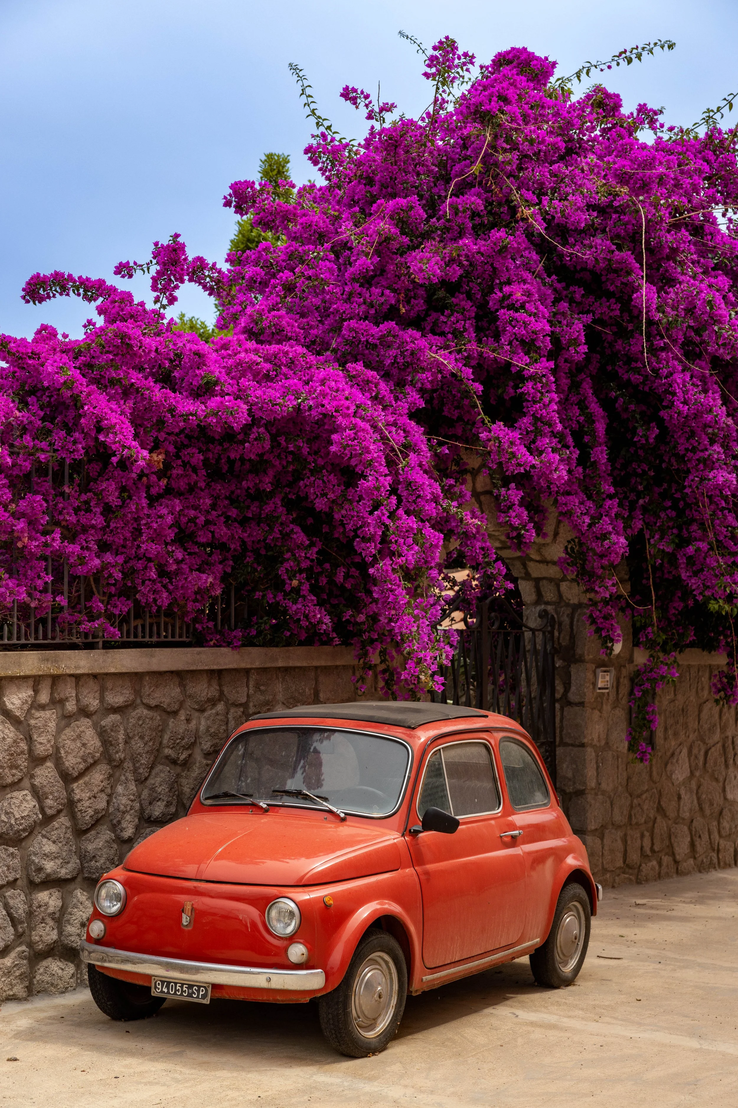 20220625Ischia5.jpg