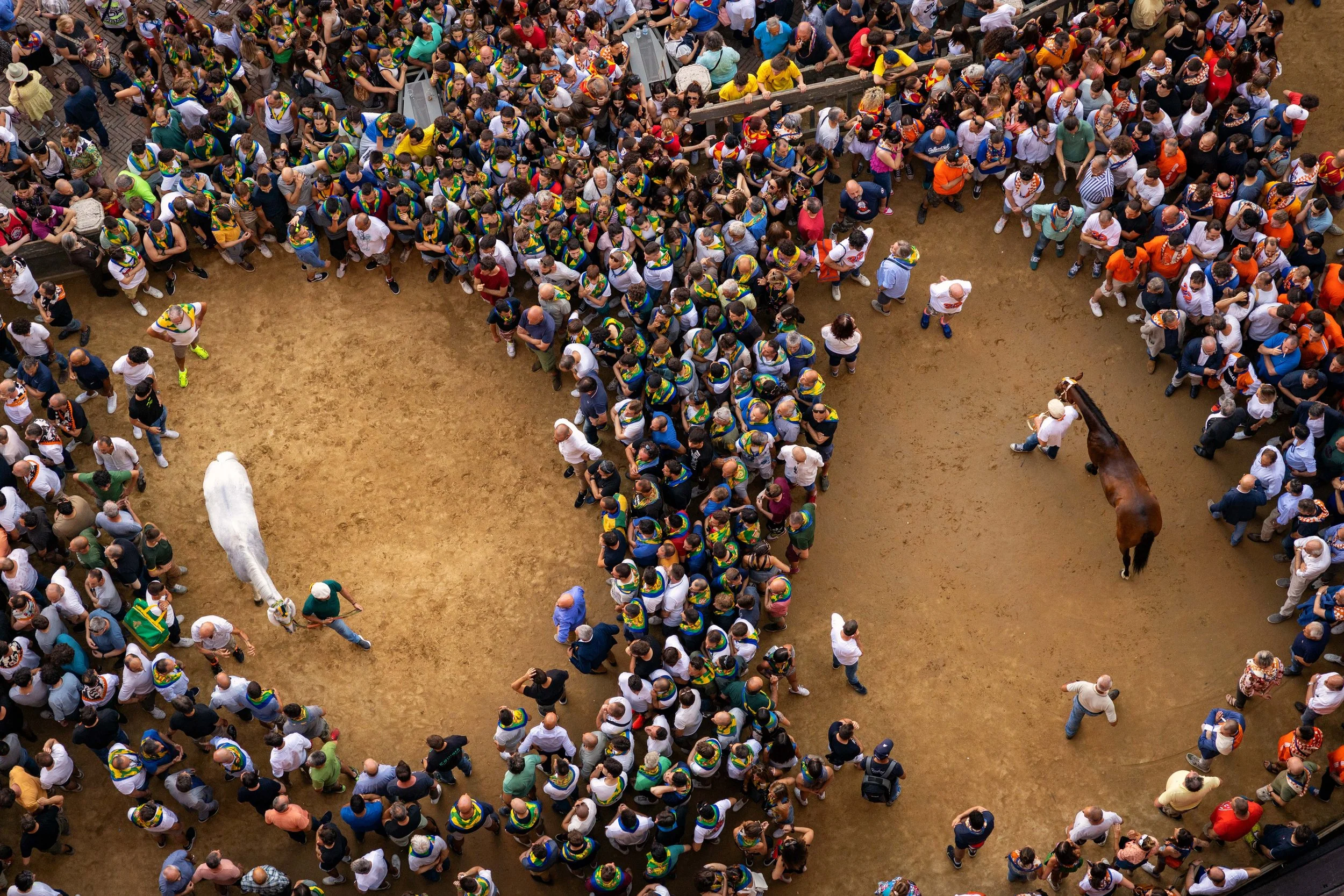 20220630Siena1.jpg