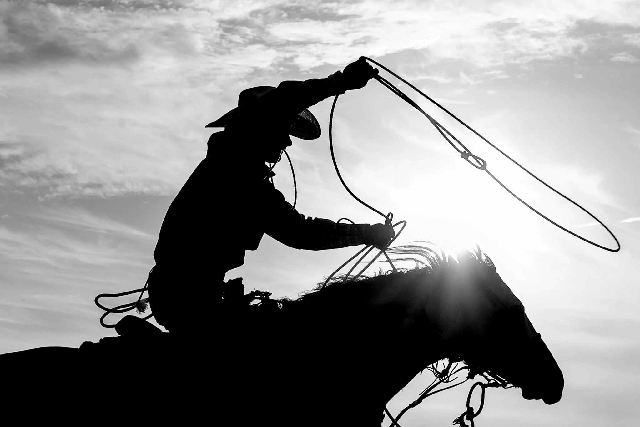20250411EscalonRodeo-5 copy.jpg