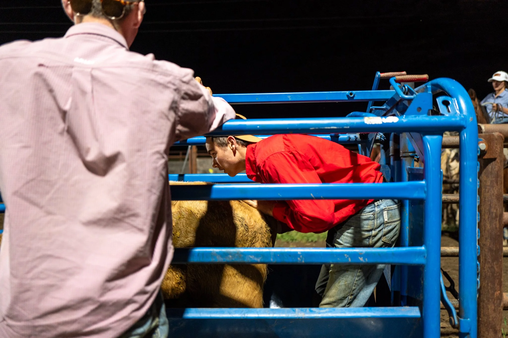 20250411EscalonRodeo28-5.jpg