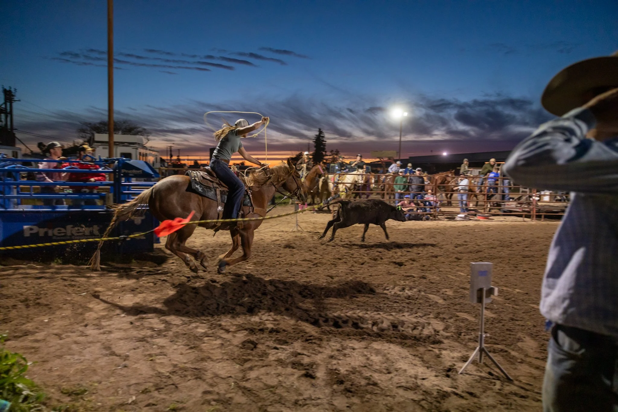 20250411EscalonRodeo-19.jpg