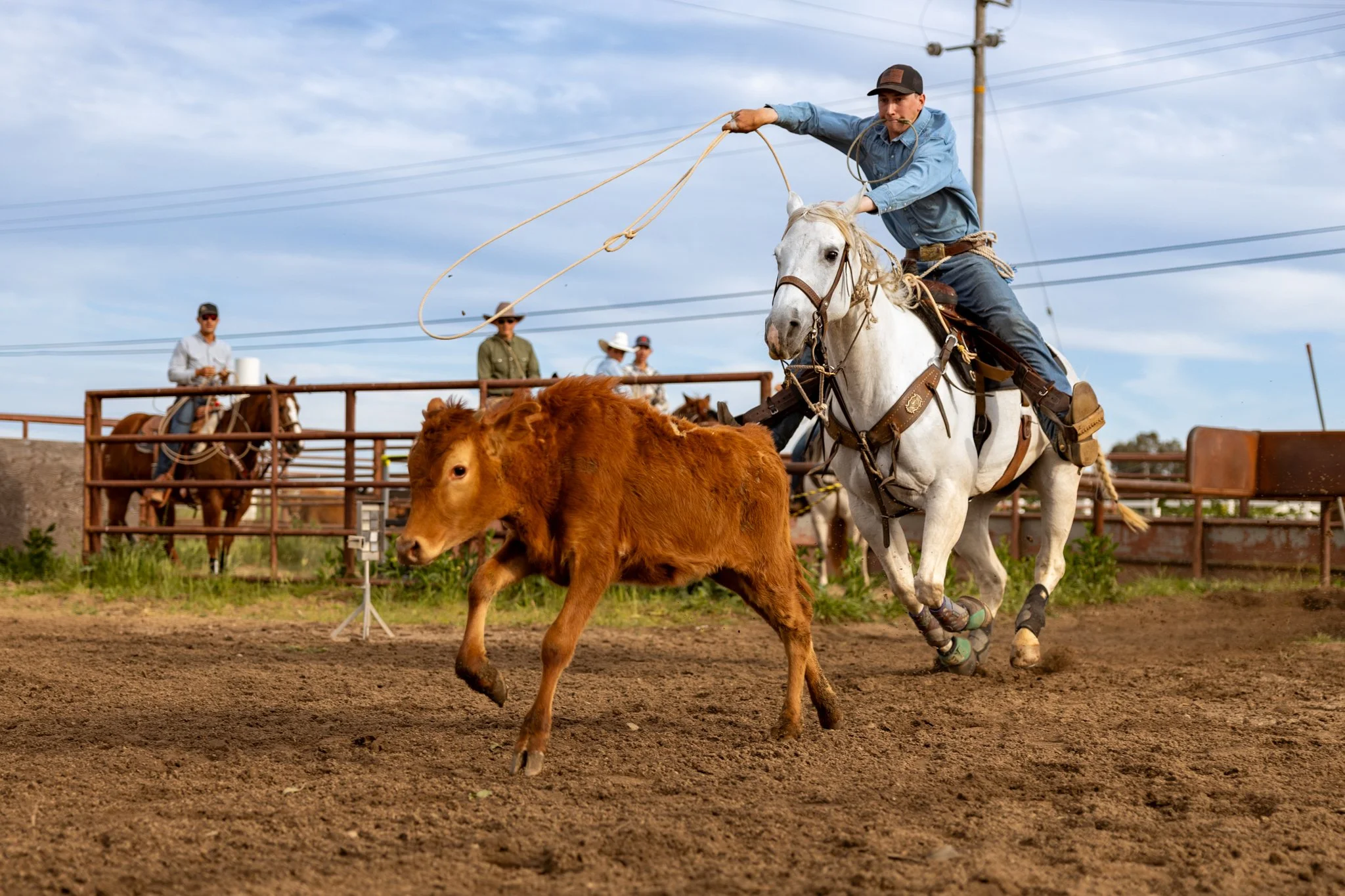 20250411EscalonRodeo.jpg
