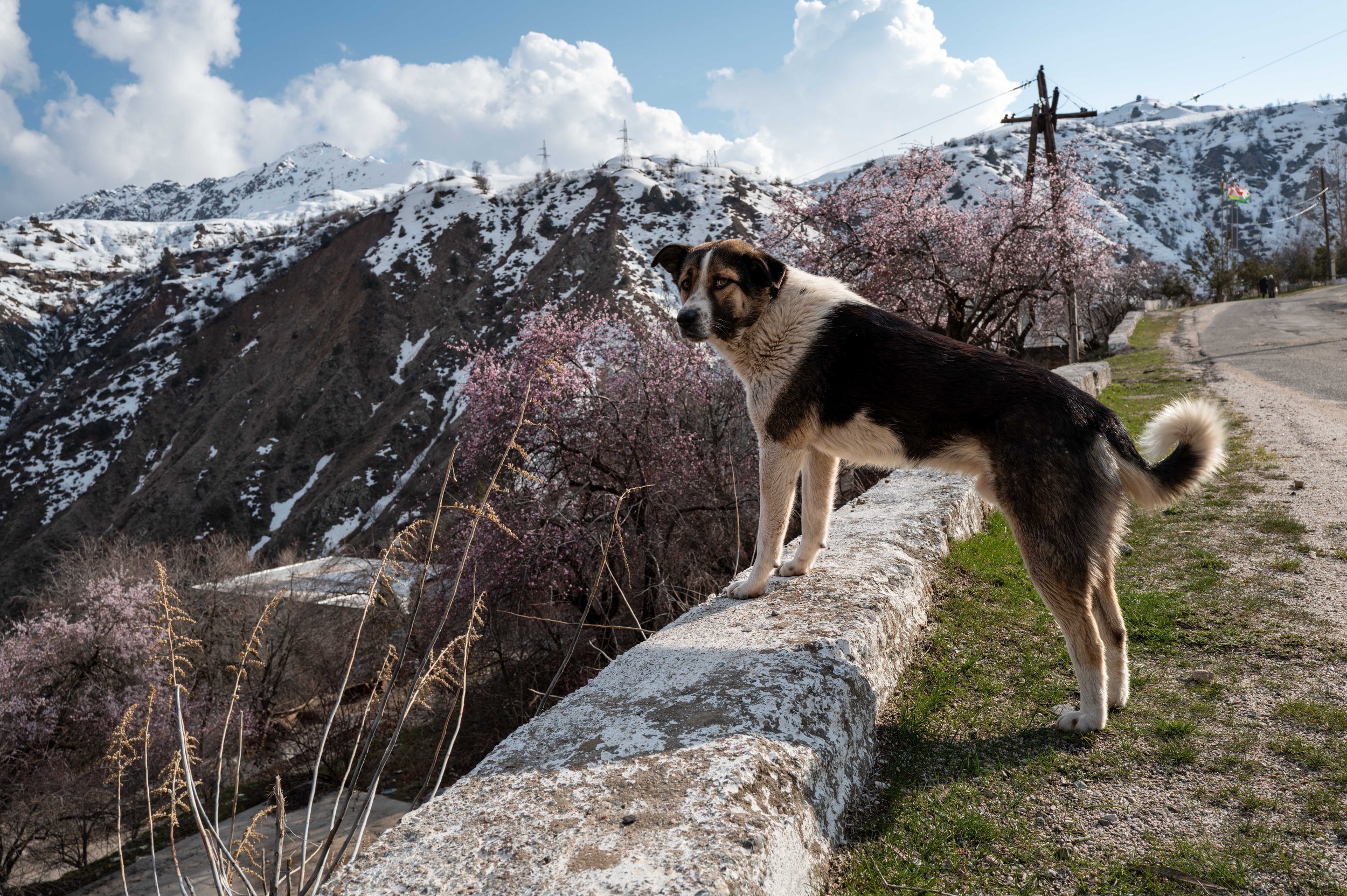 20260328Tajikistan-41.jpg