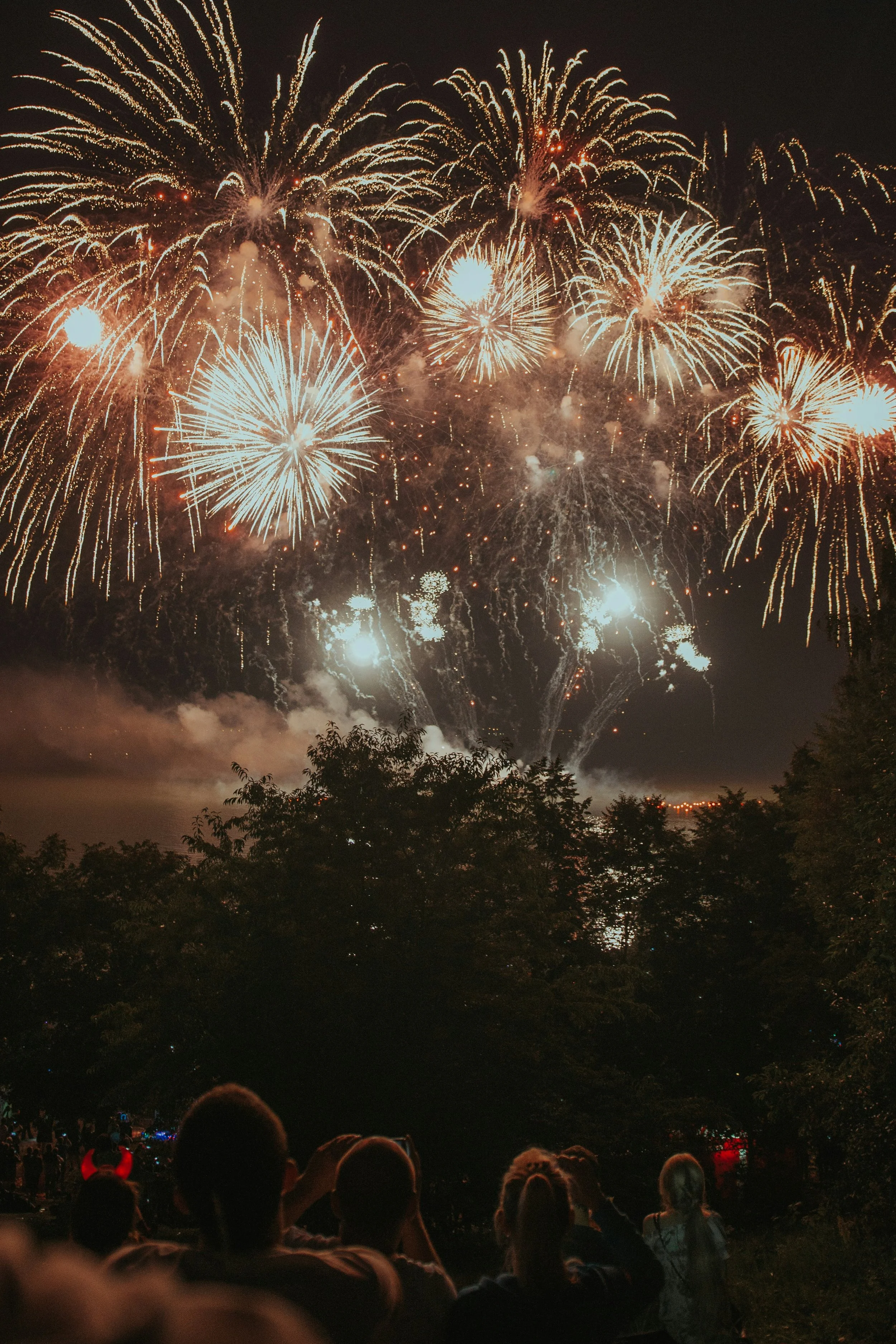 People watching fireworks display at night, with trees and smoke in the foreground, and fireworks lighting up the sky.