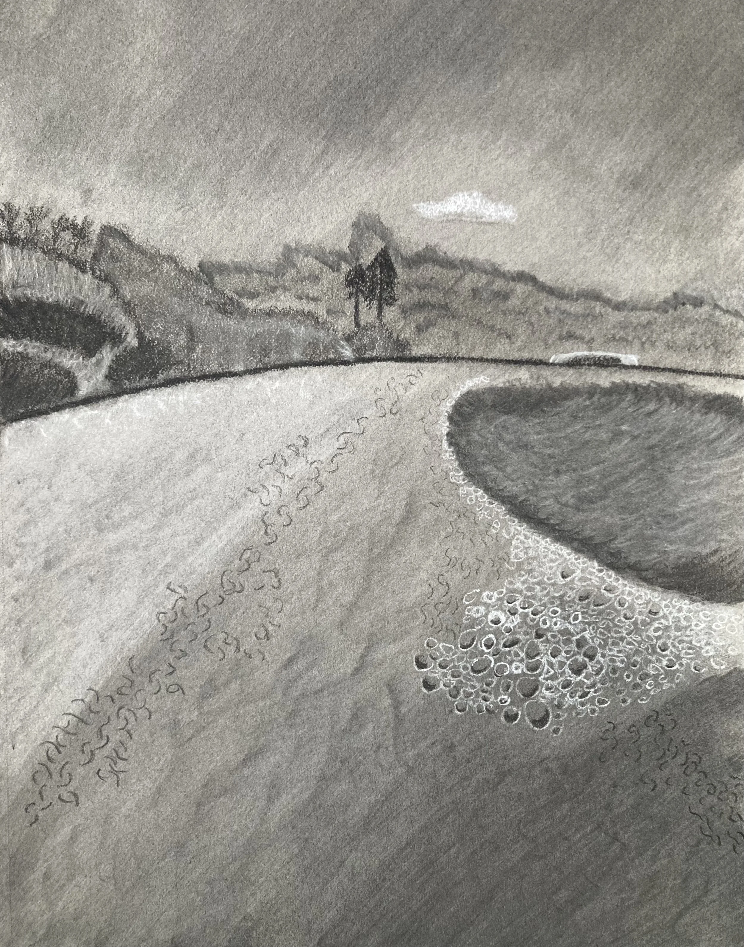 Illustration of Richmond Beach. Charcoal on 18x24 Acid-free paper.