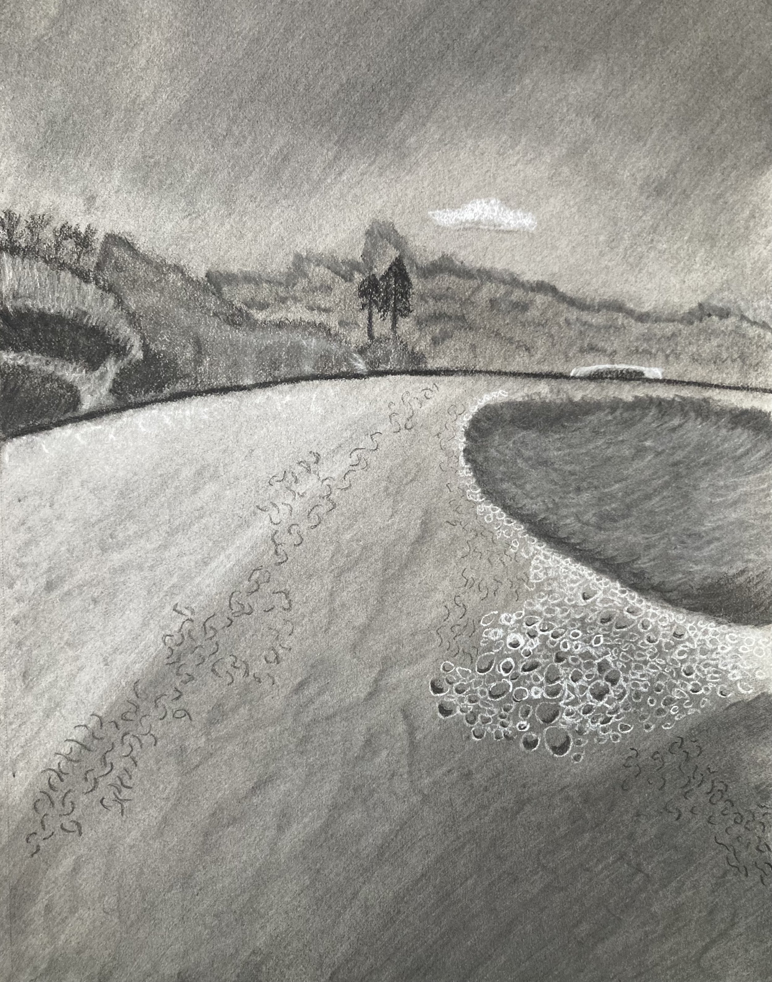 Richmond Beach. 2025. Landscape Abstraction. Charcoal on Grey Bristol Board. 9x12in.