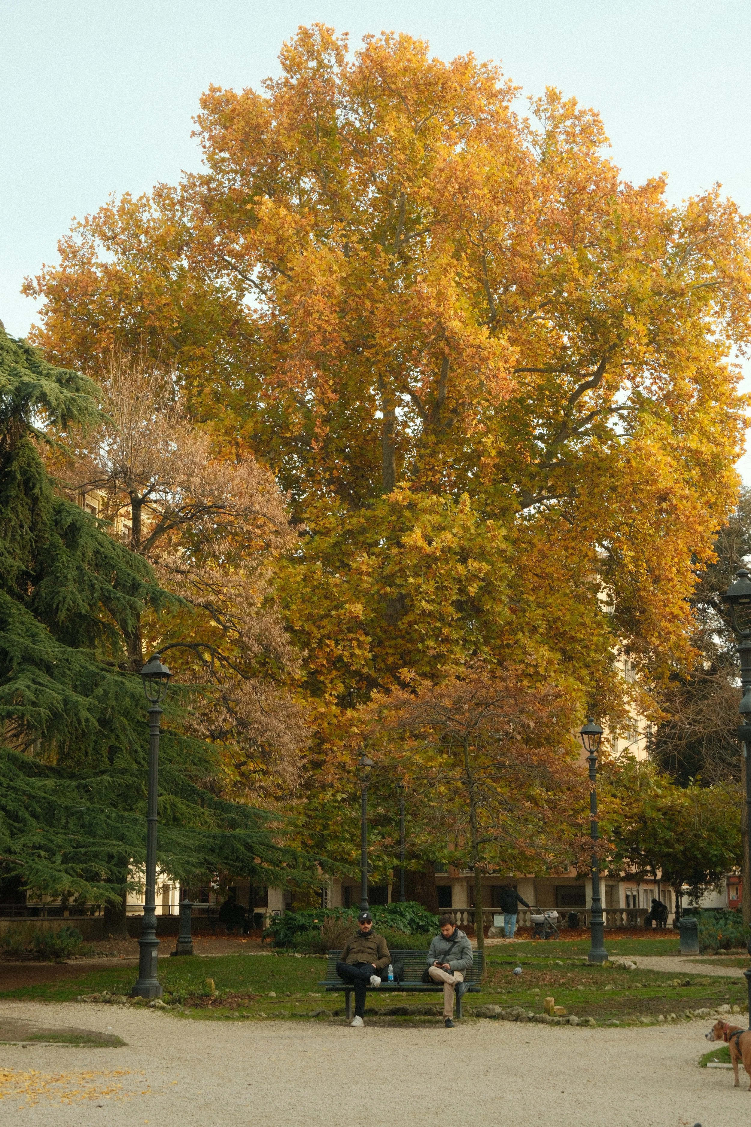 DSCF0837.JPG