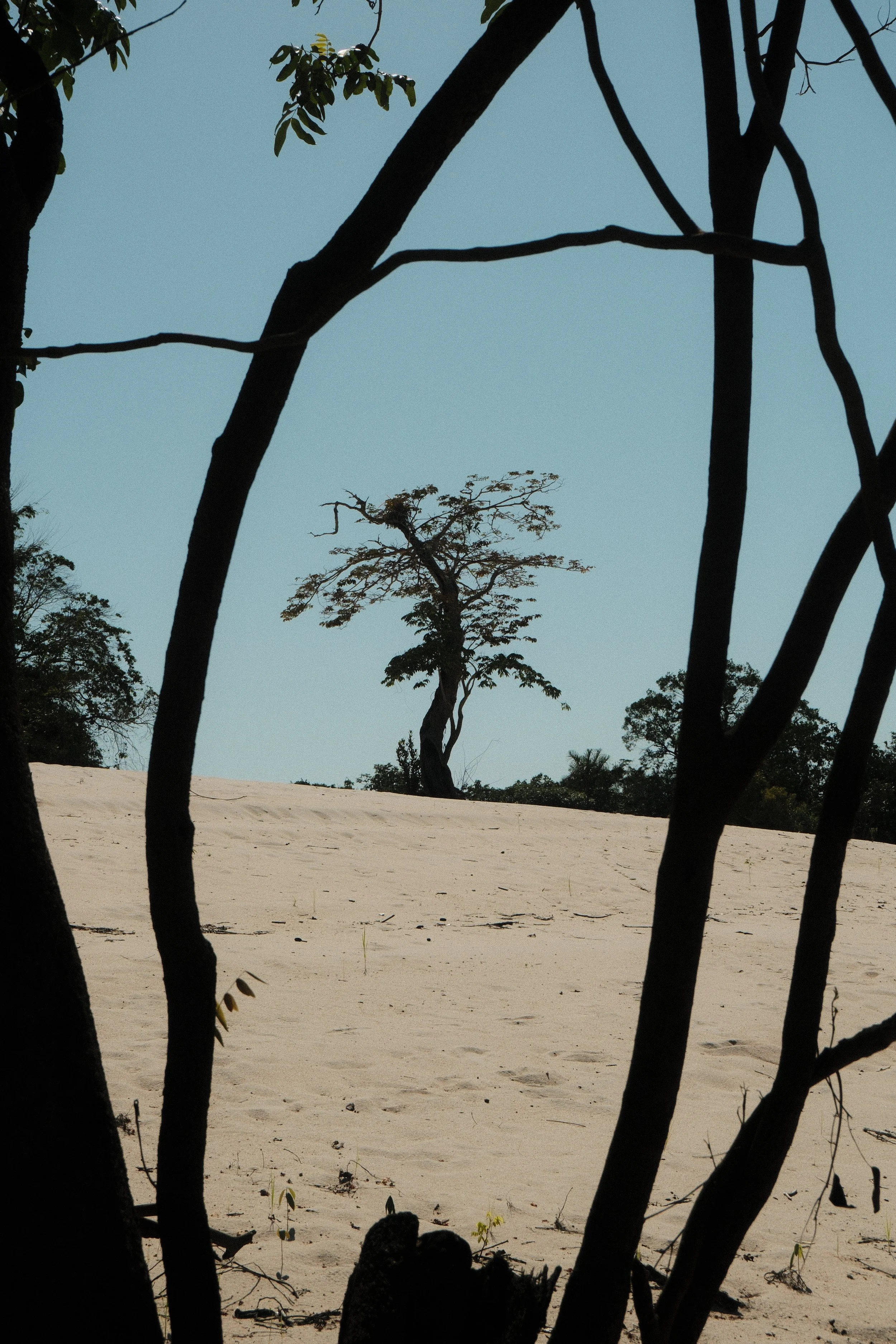 DSCF2907.JPG