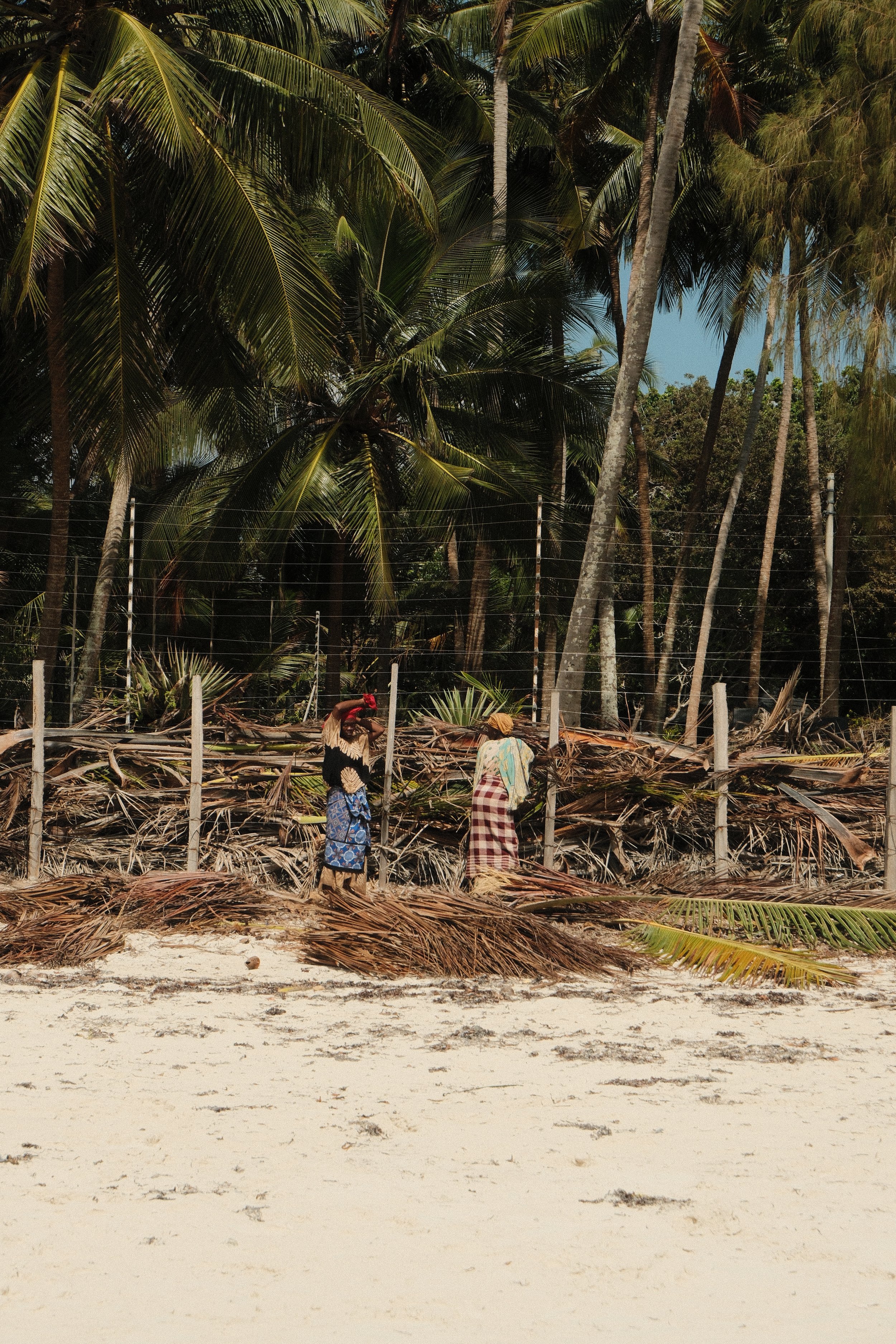 Diani beach walk