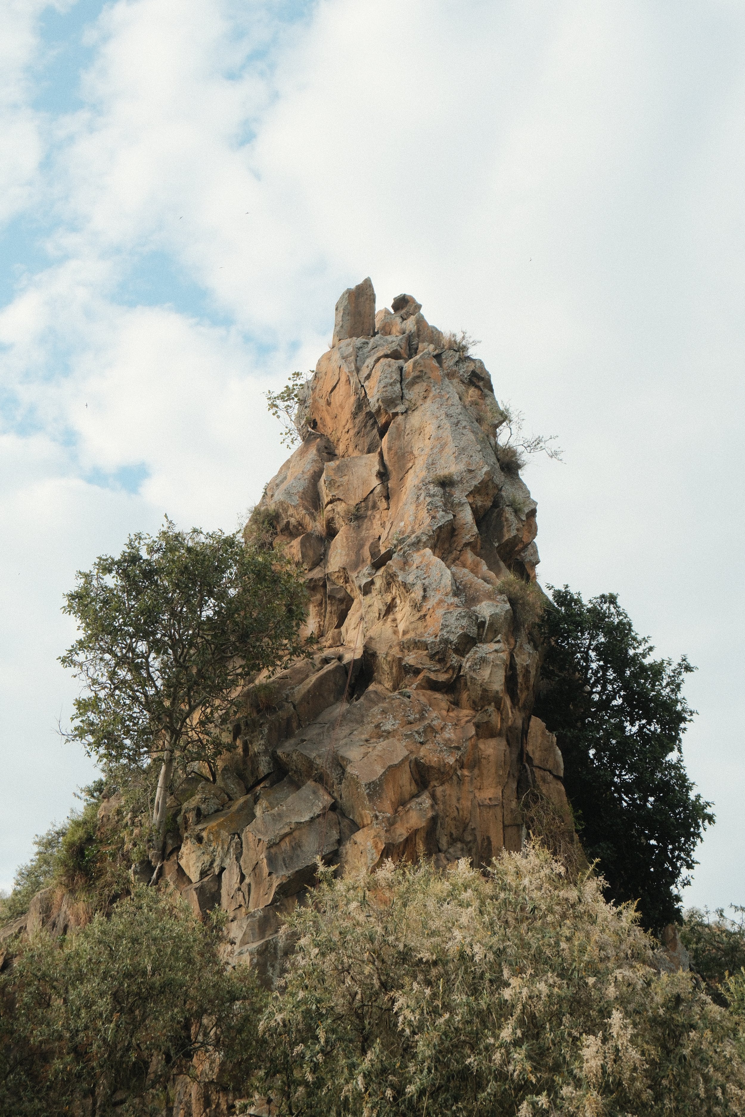 DSCF2423.JPG
