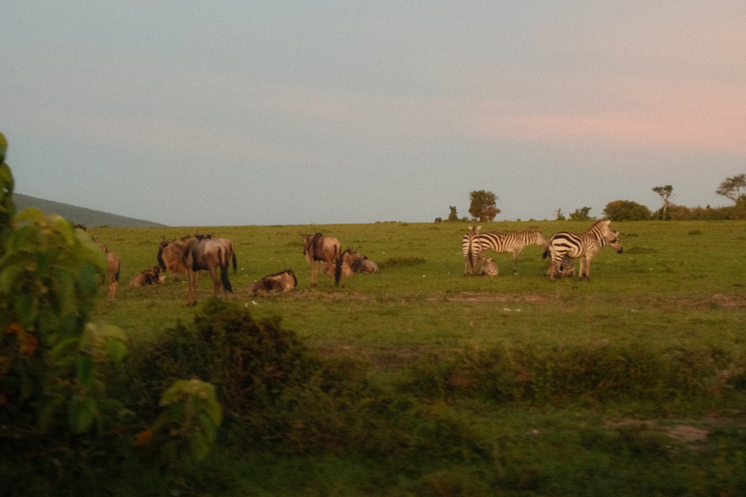 DSCF2814.JPG
