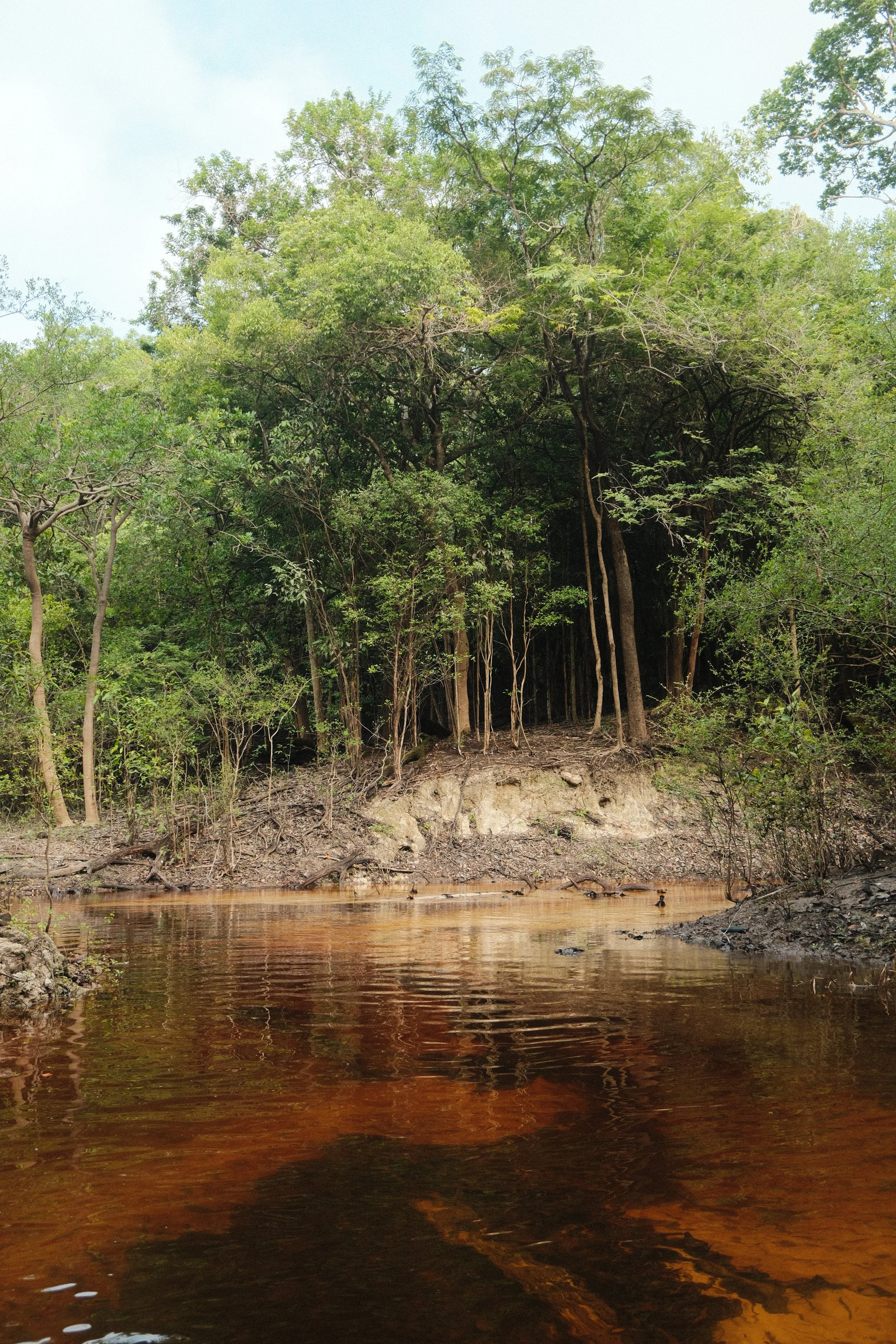 DSCF3490.JPG